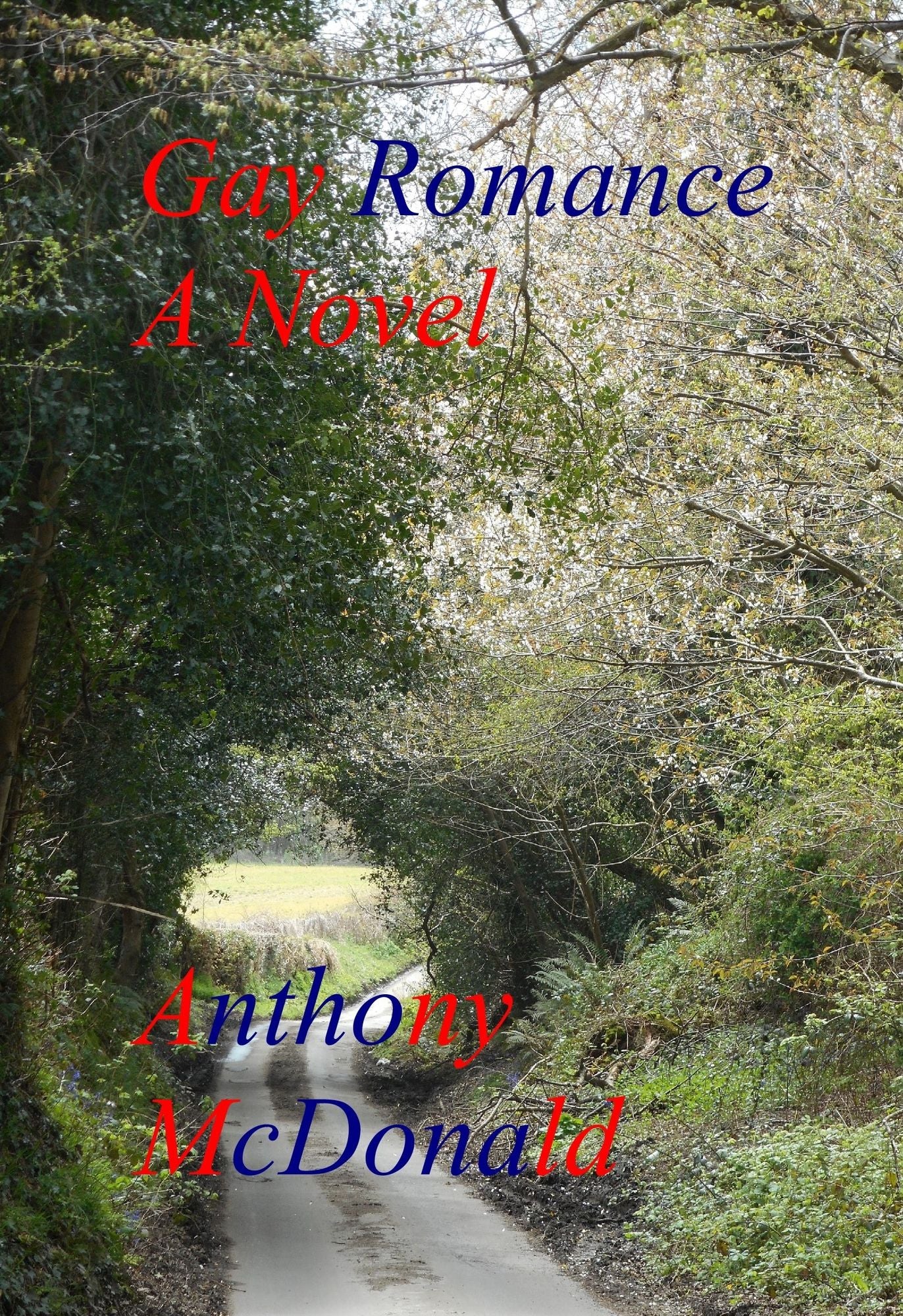 Gay Romance: A Novel