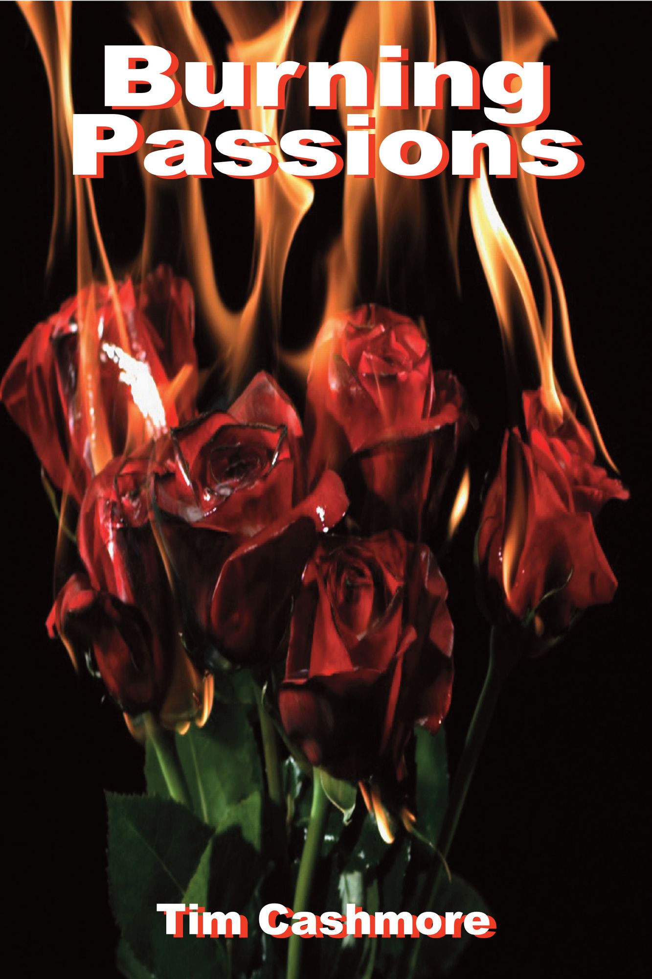 Burning Passions