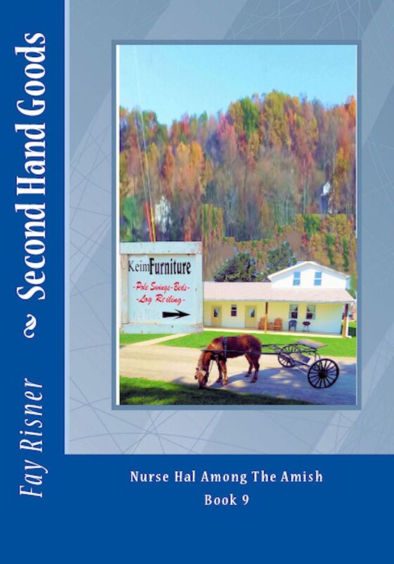Second Hand Goods Nurse Hal Among The Amish series