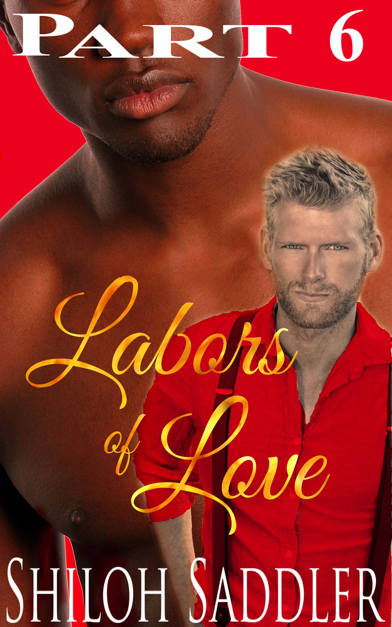 Labors of Love Part 6 (Gay Historical Romance)