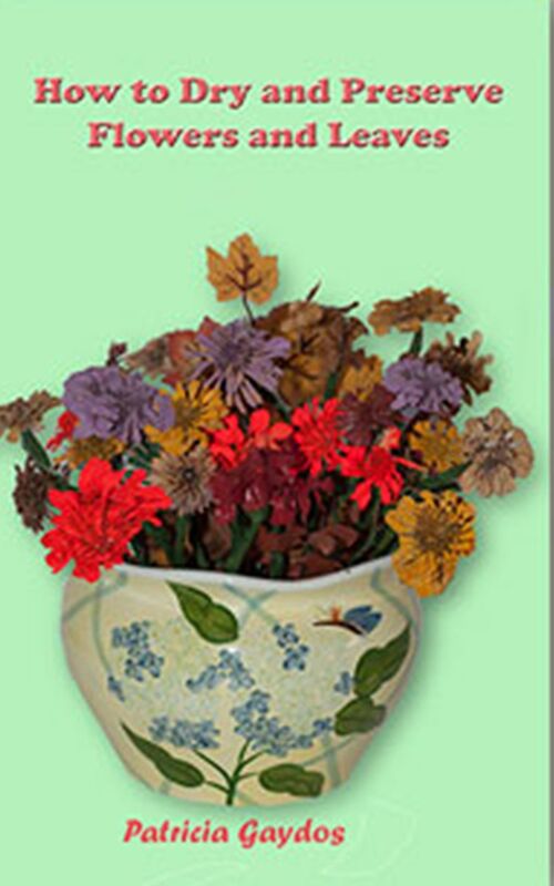 How to Preserve and Dry Flowers and Leaves