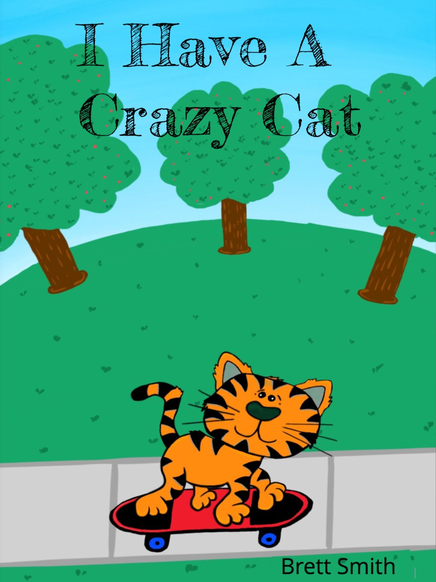 I Have A Crazy Cat