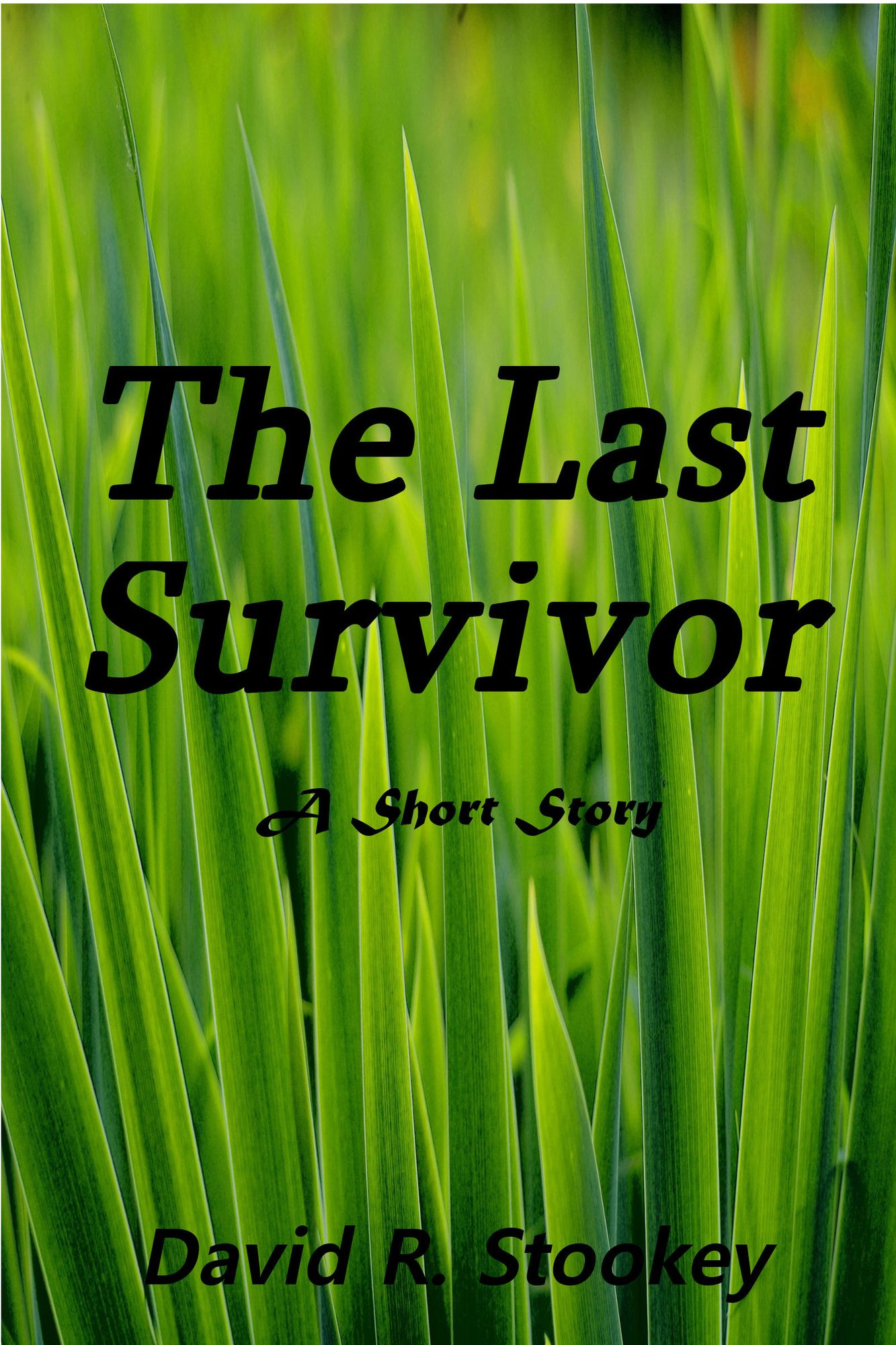The Last Survivor