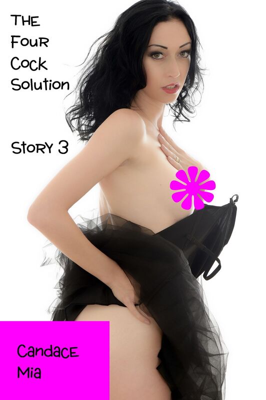 The Four Cock Solution: Story 3