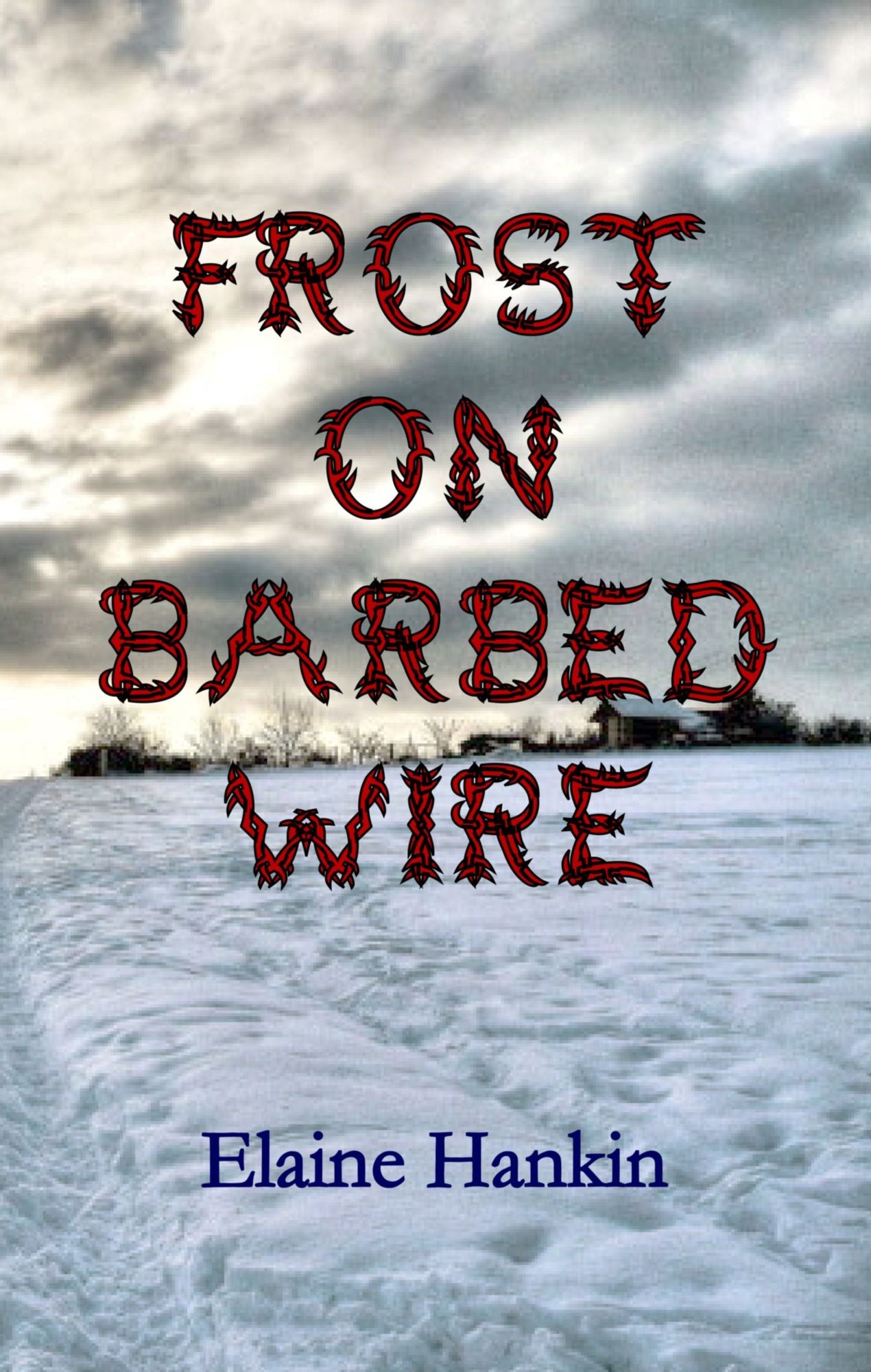 Frost on Barbed Wire