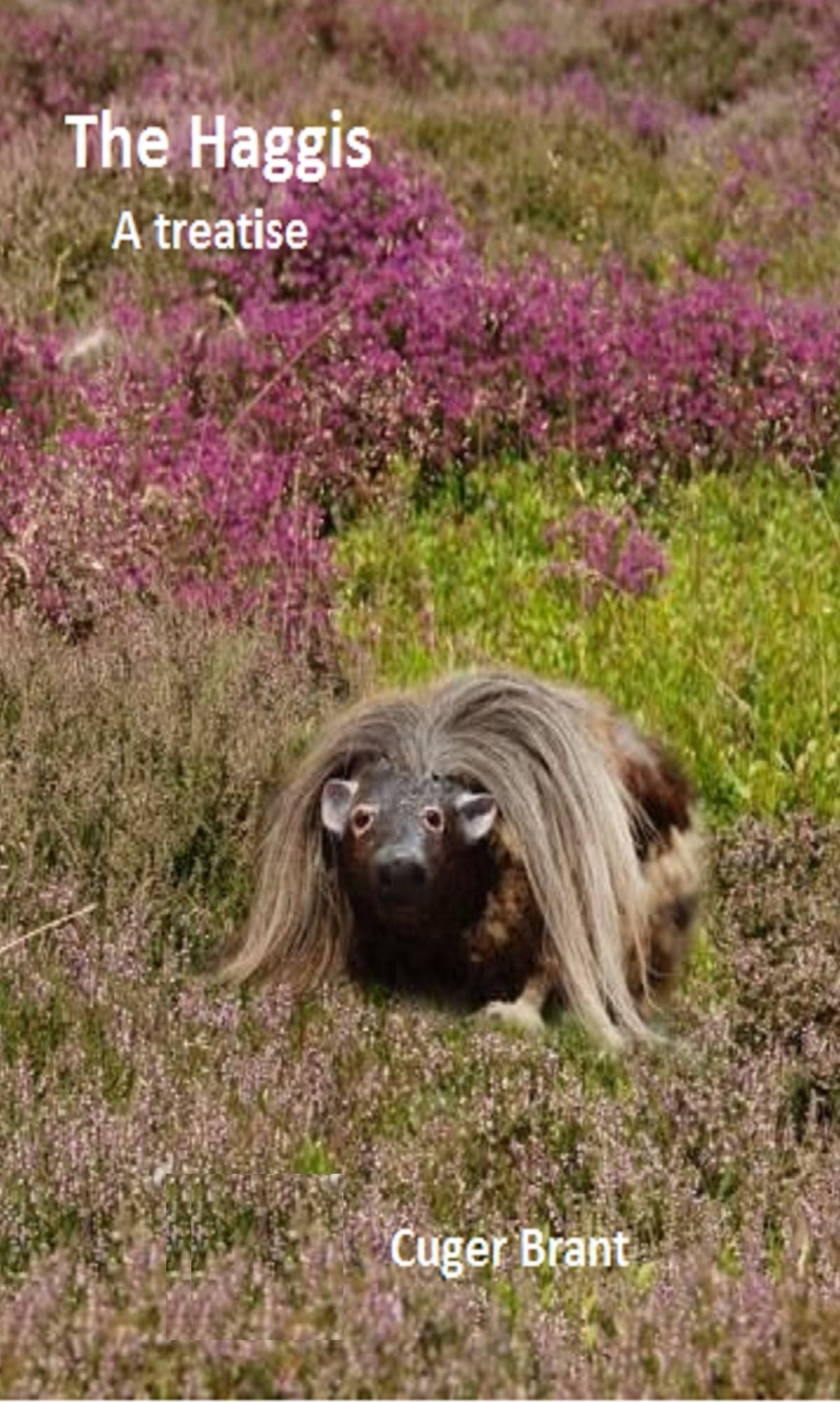 The Haggis