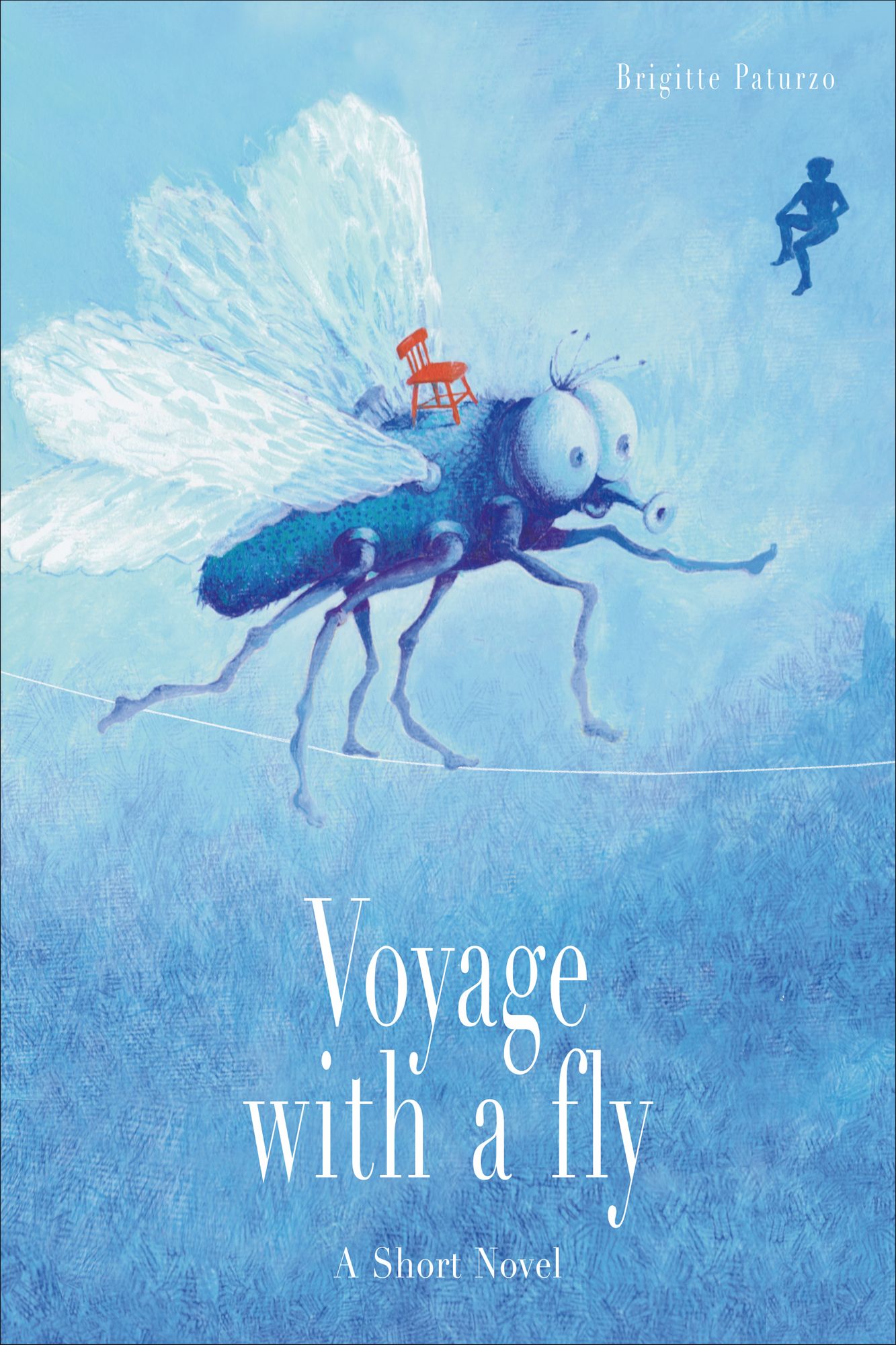 Voyage with a Fly