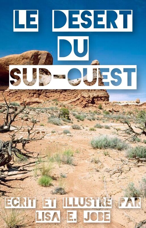 Le Desert du Sud-Ouest