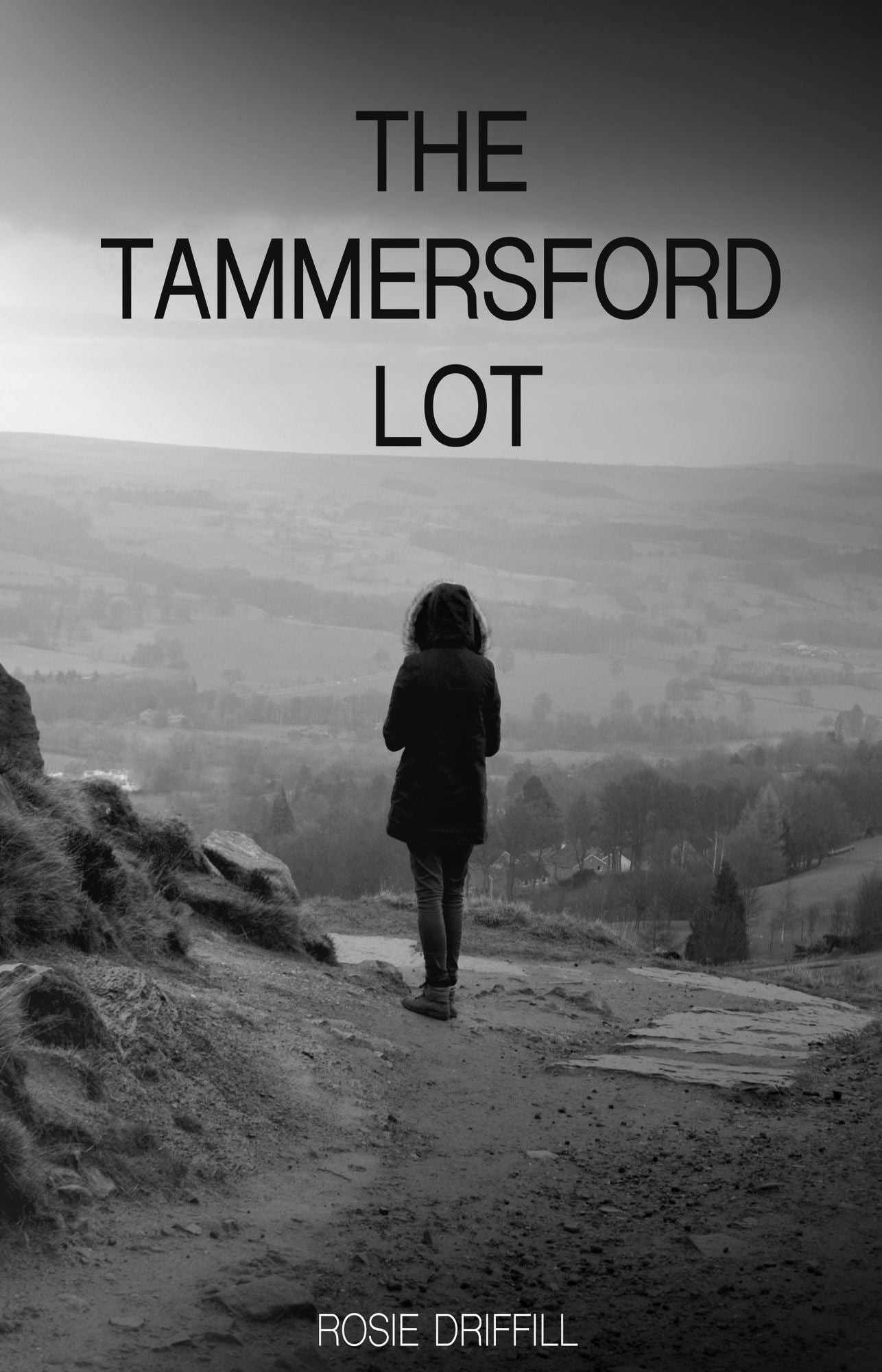 The Tammersford Lot