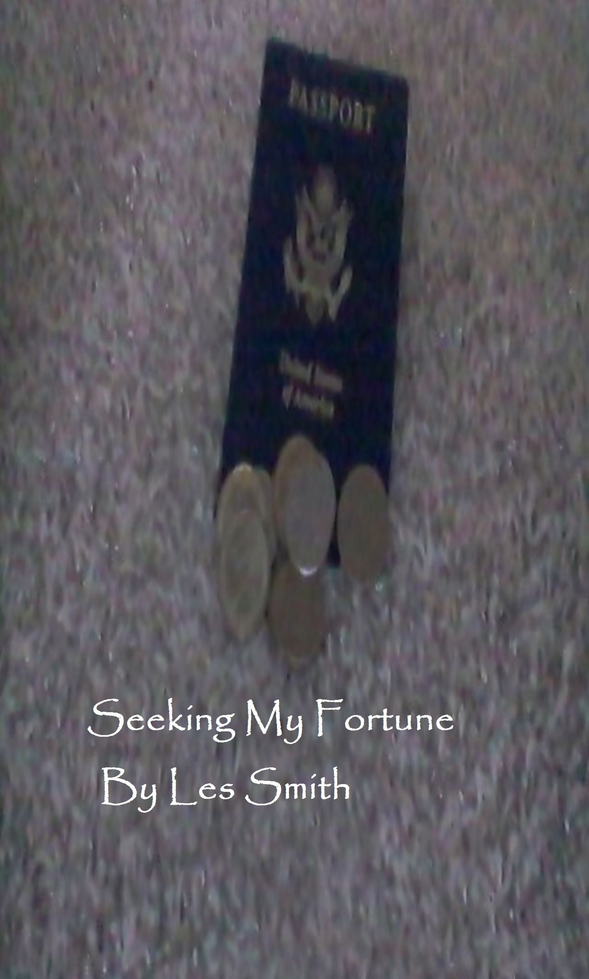 Seeking My Fortune