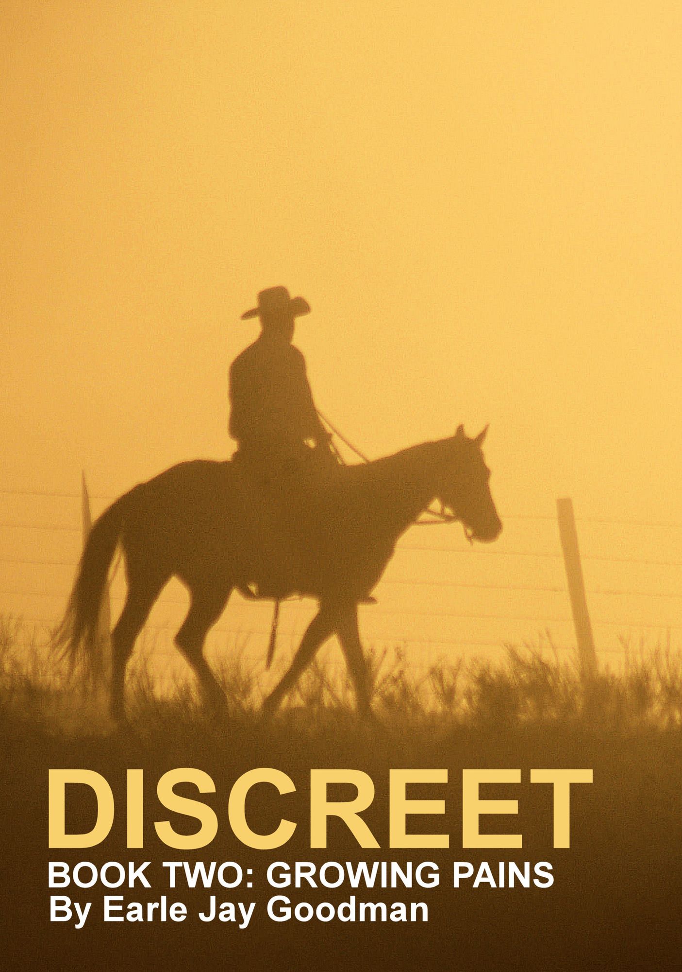 Discreet: Book Two: Growing Pains