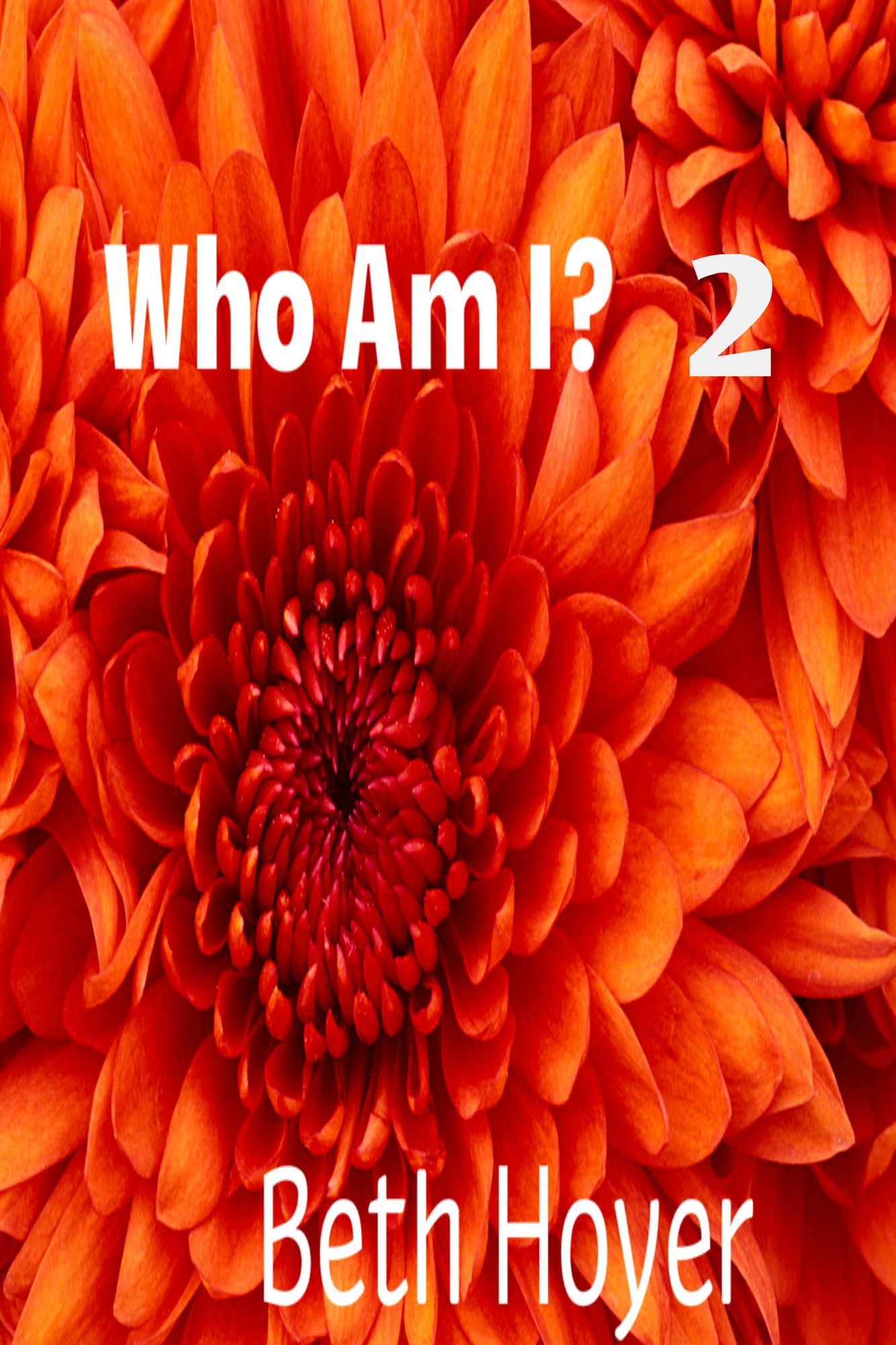 Who Am I? 2