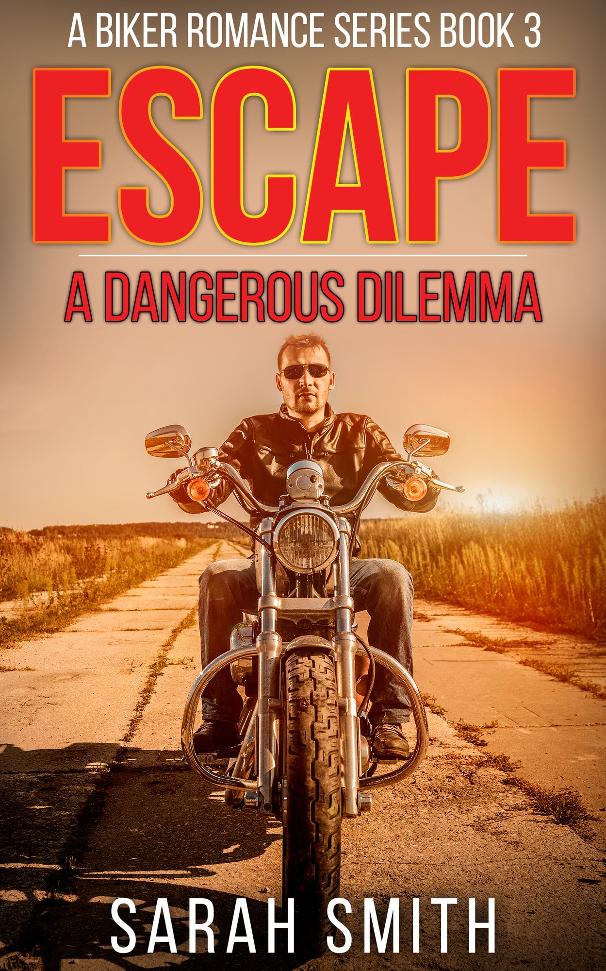 Escape: A Dangerous Dilemma: A Biker Romance Series 3