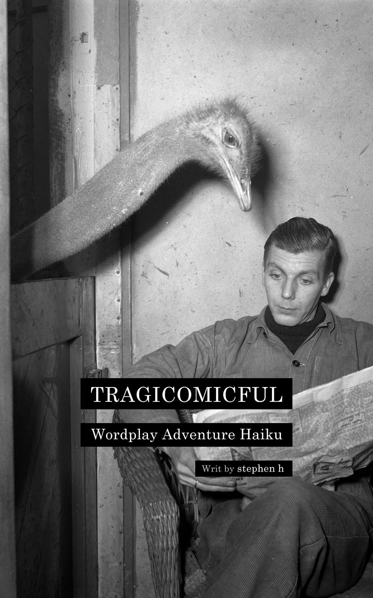 Tragicomicful: Wordplay Adventure Haiku