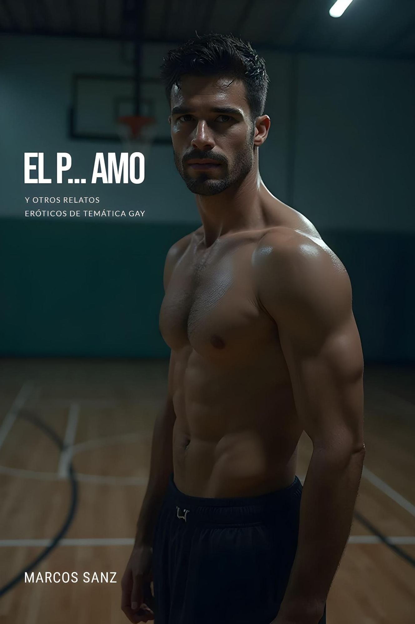 El p... amo, Y otros relatos eróticos de temática gay
