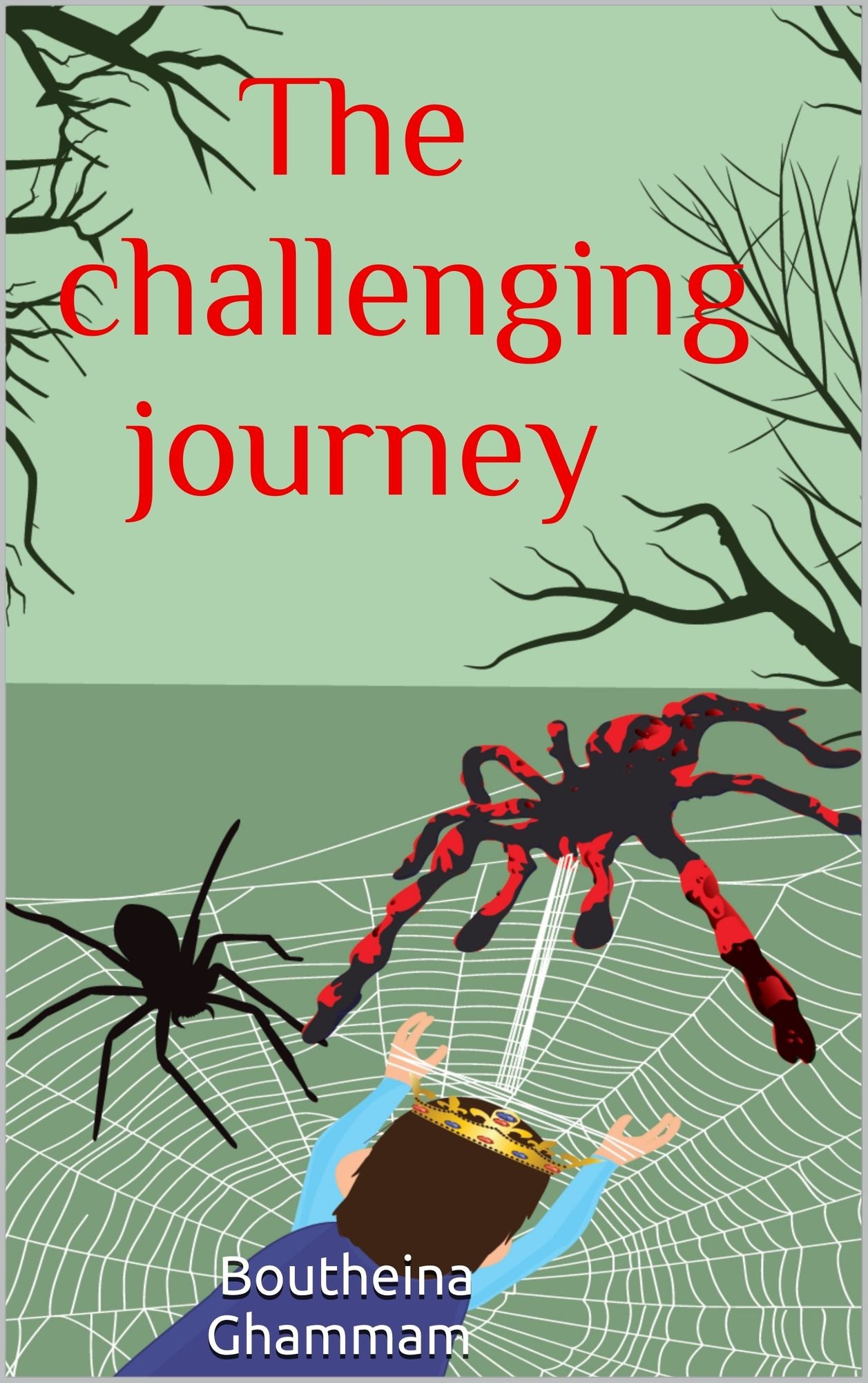 The Challenging Journey