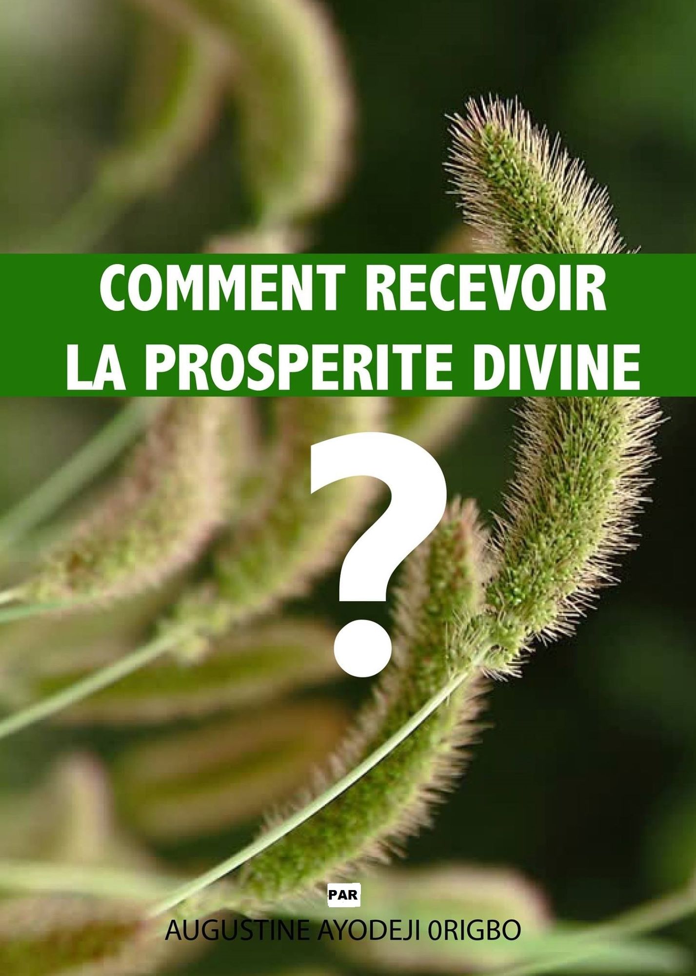 Comment Recevoir La Prosperite Divine