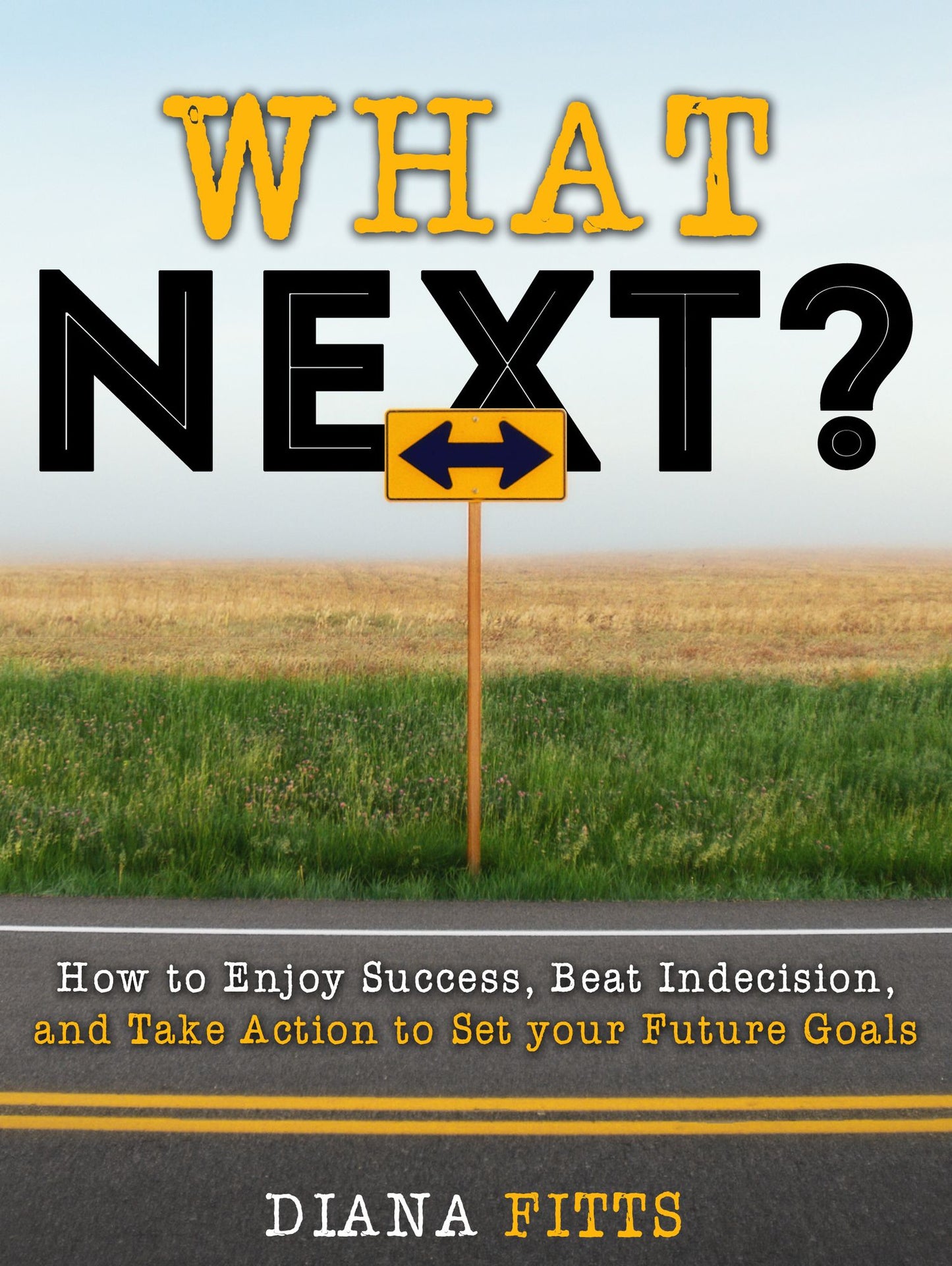 What Next?: How to Enjoy Success, Beat Indecision, and Take Action Towards Your Future Goals
