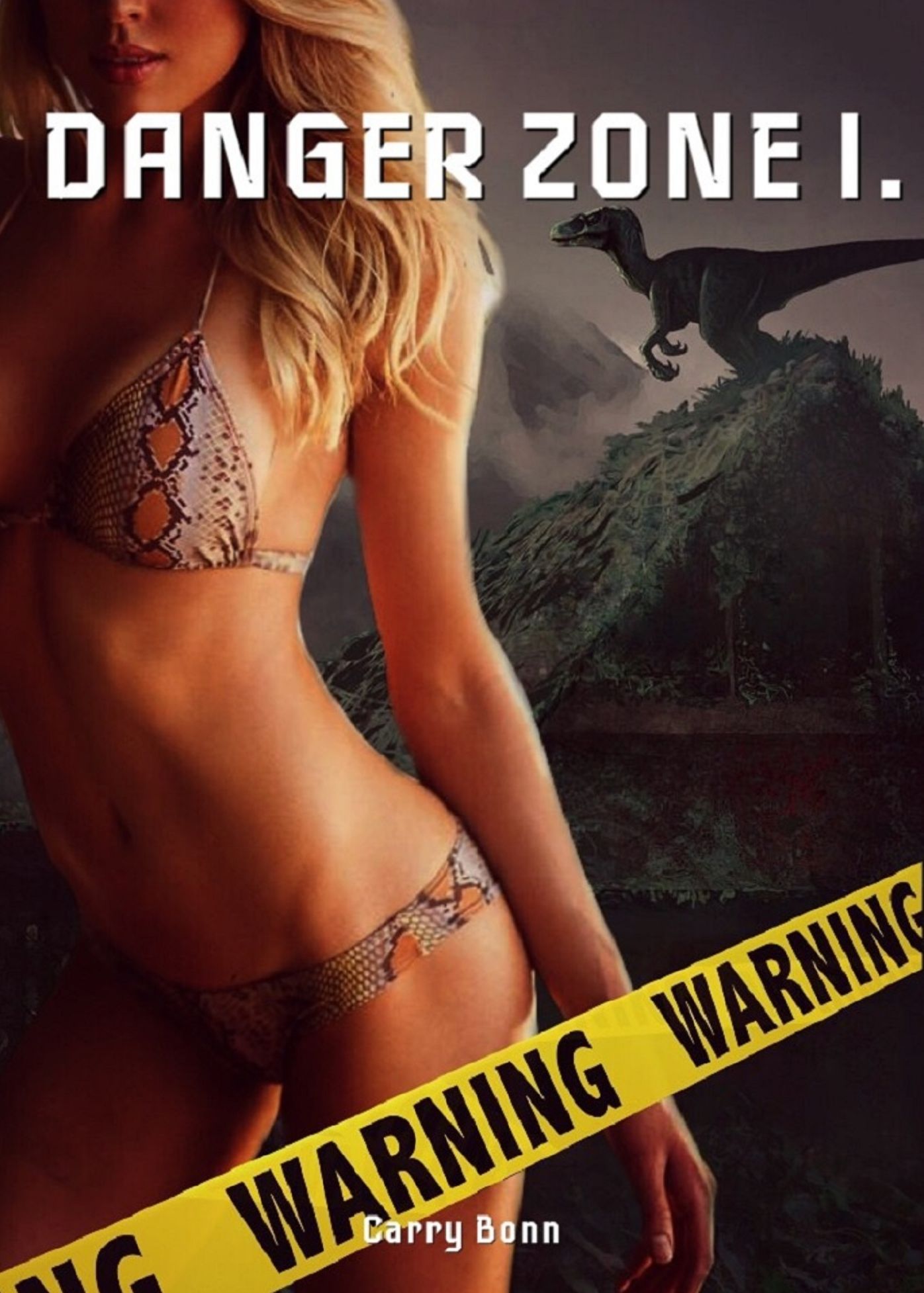 Danger Zone I.