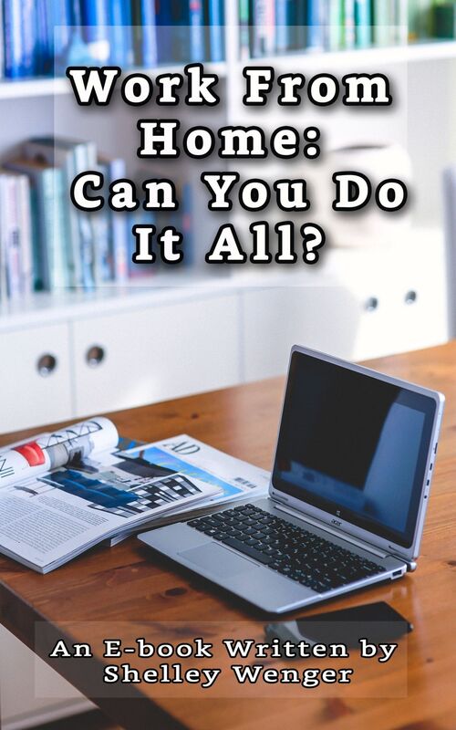Work From Home: Can You Do It All?