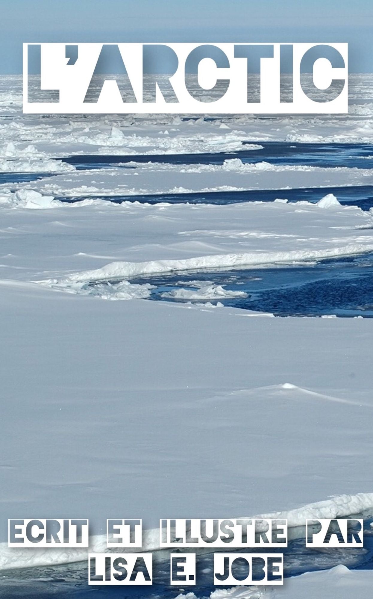 L'Arctic