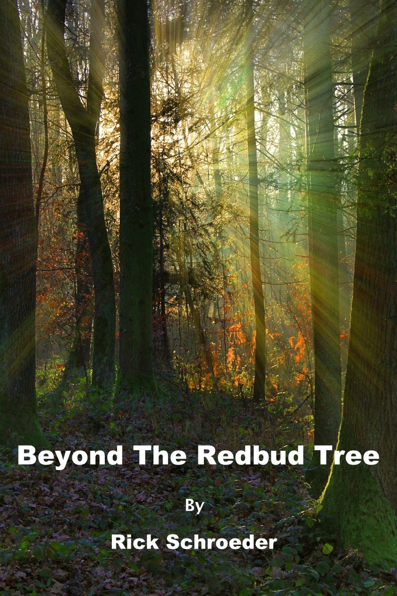Beyond The Redbud Tree