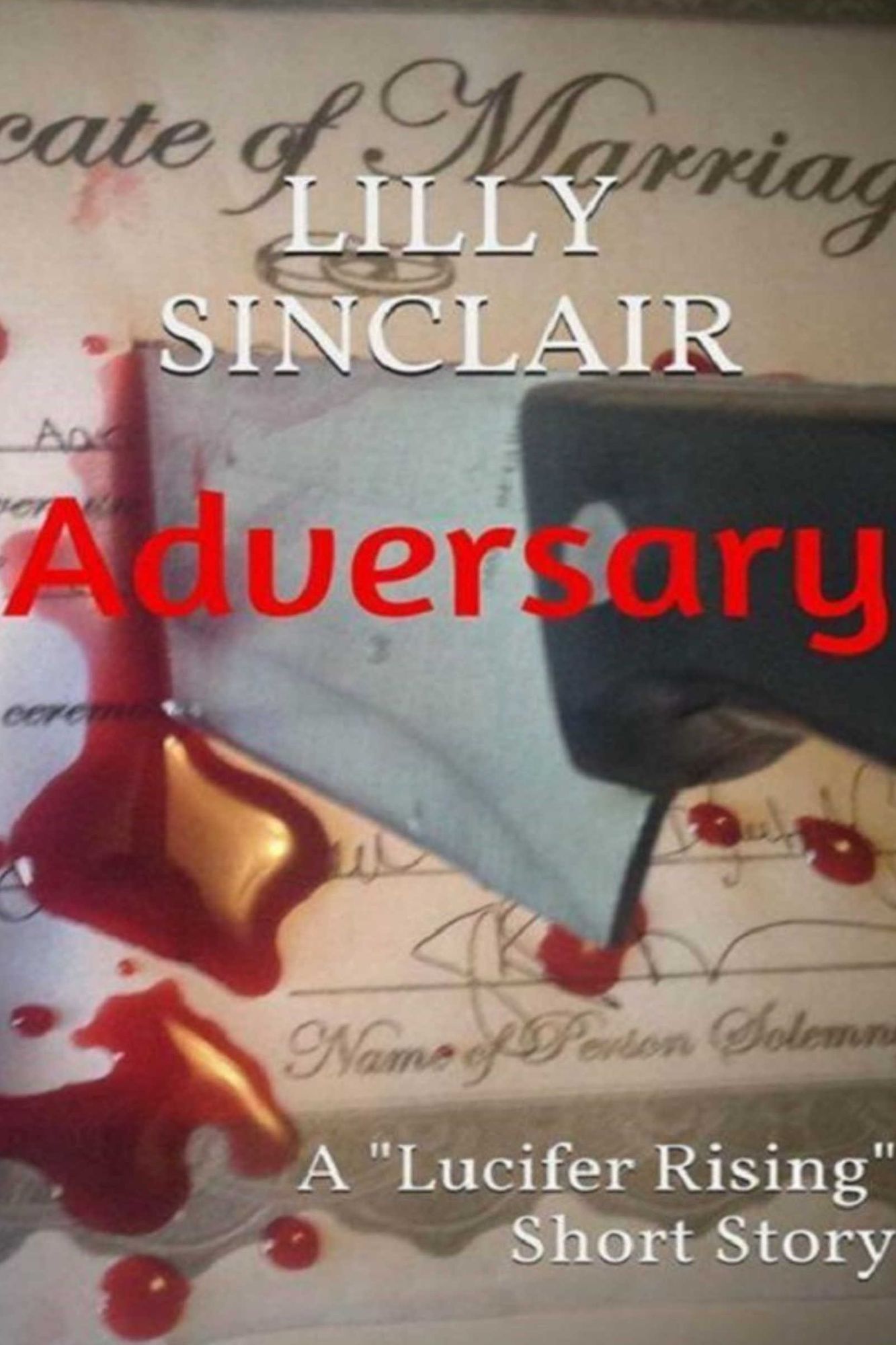 Adversary