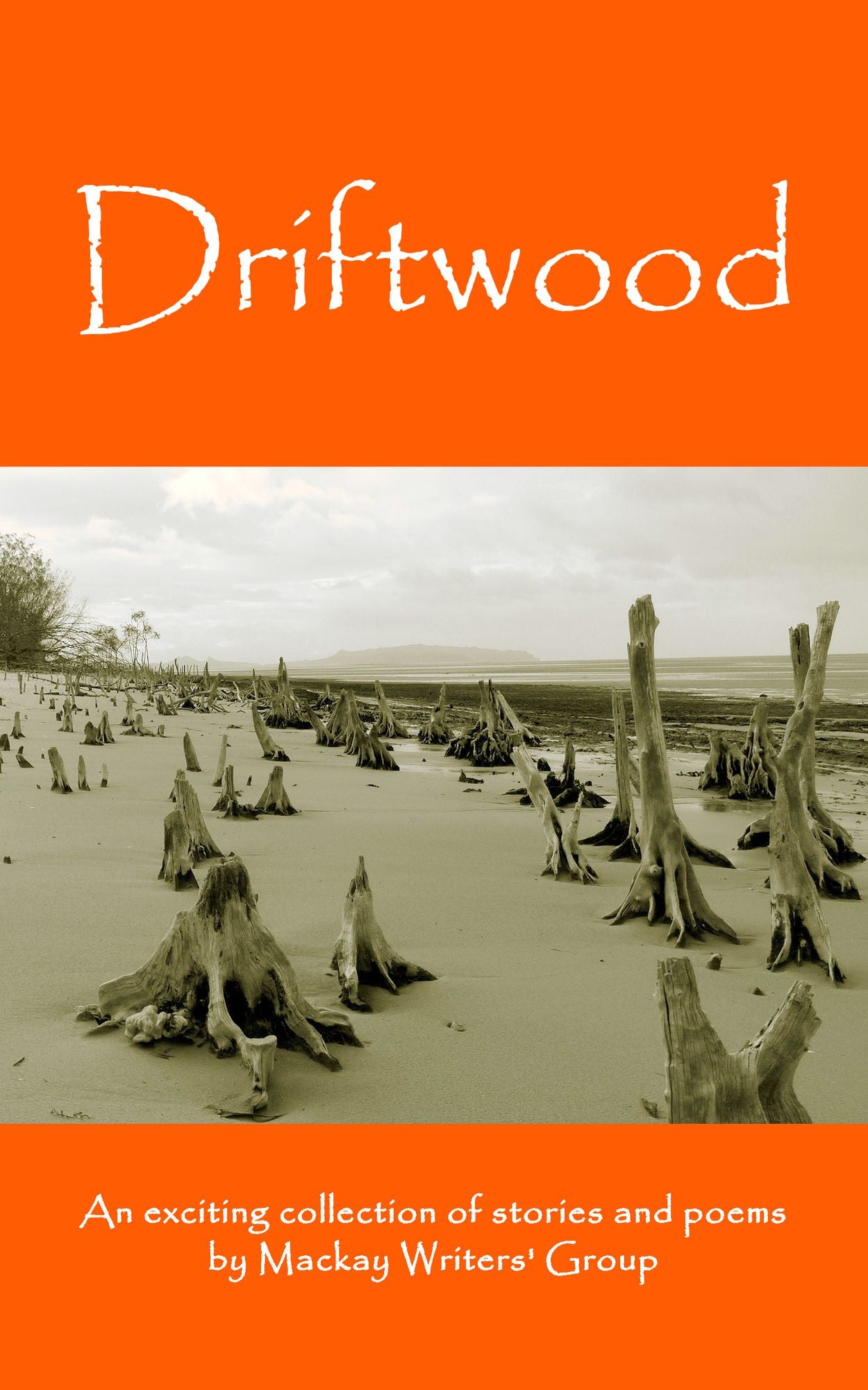 Driftwood: An anthology of works by members of the Mackay-Pioneer Valley Arts Council Writers Group (Mackay Writers)