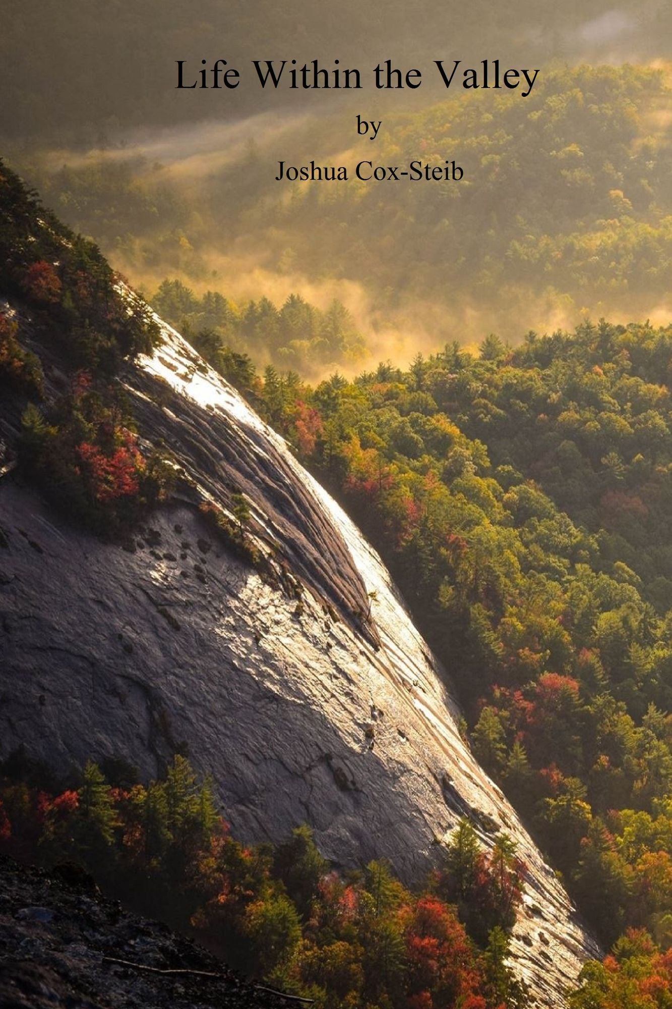 Life within the Valley