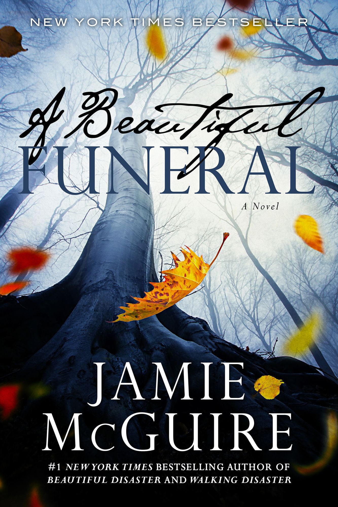 A Beautiful Funeral (Maddox Brothers Series #5)