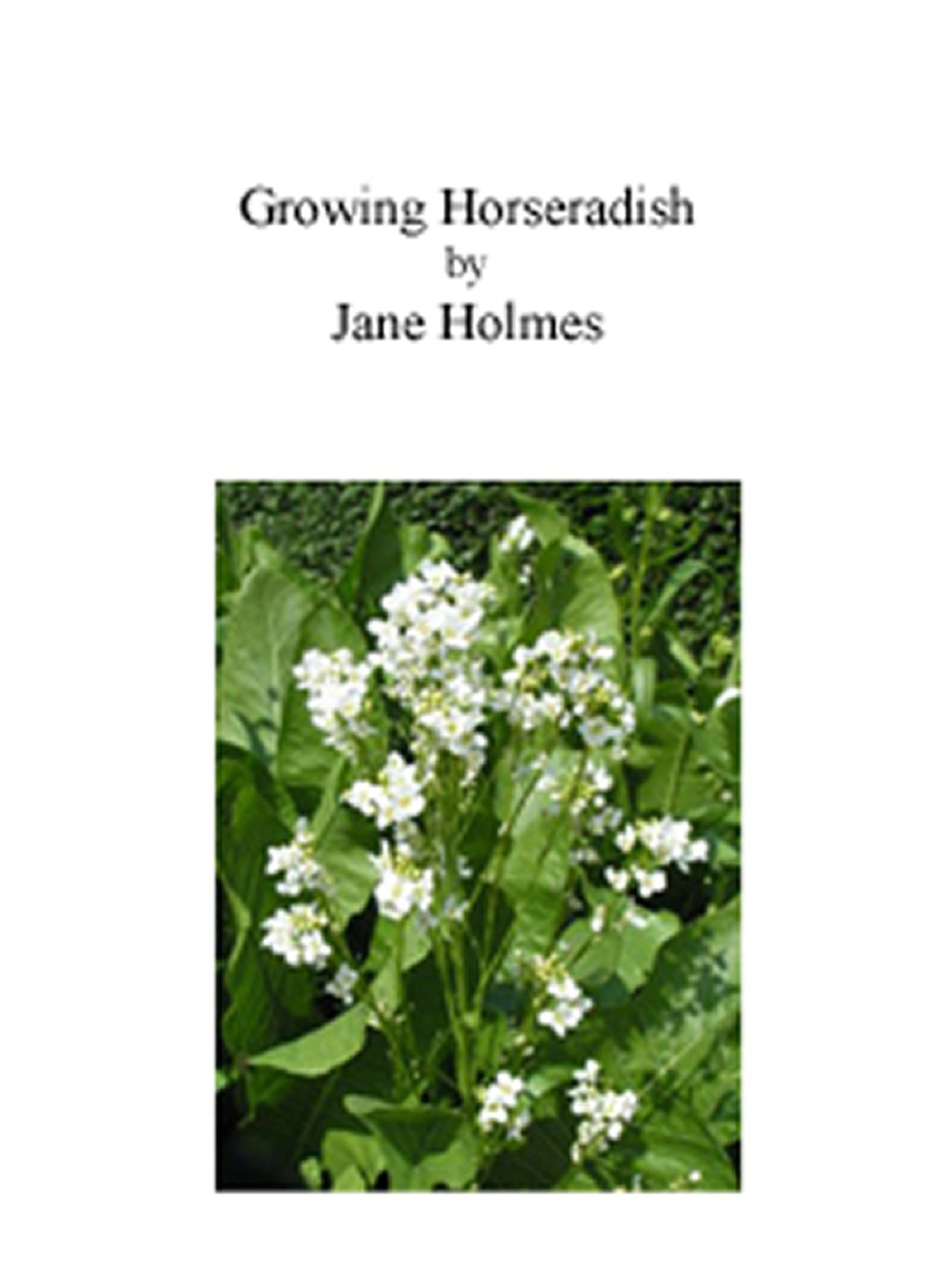 Growing Horseradish