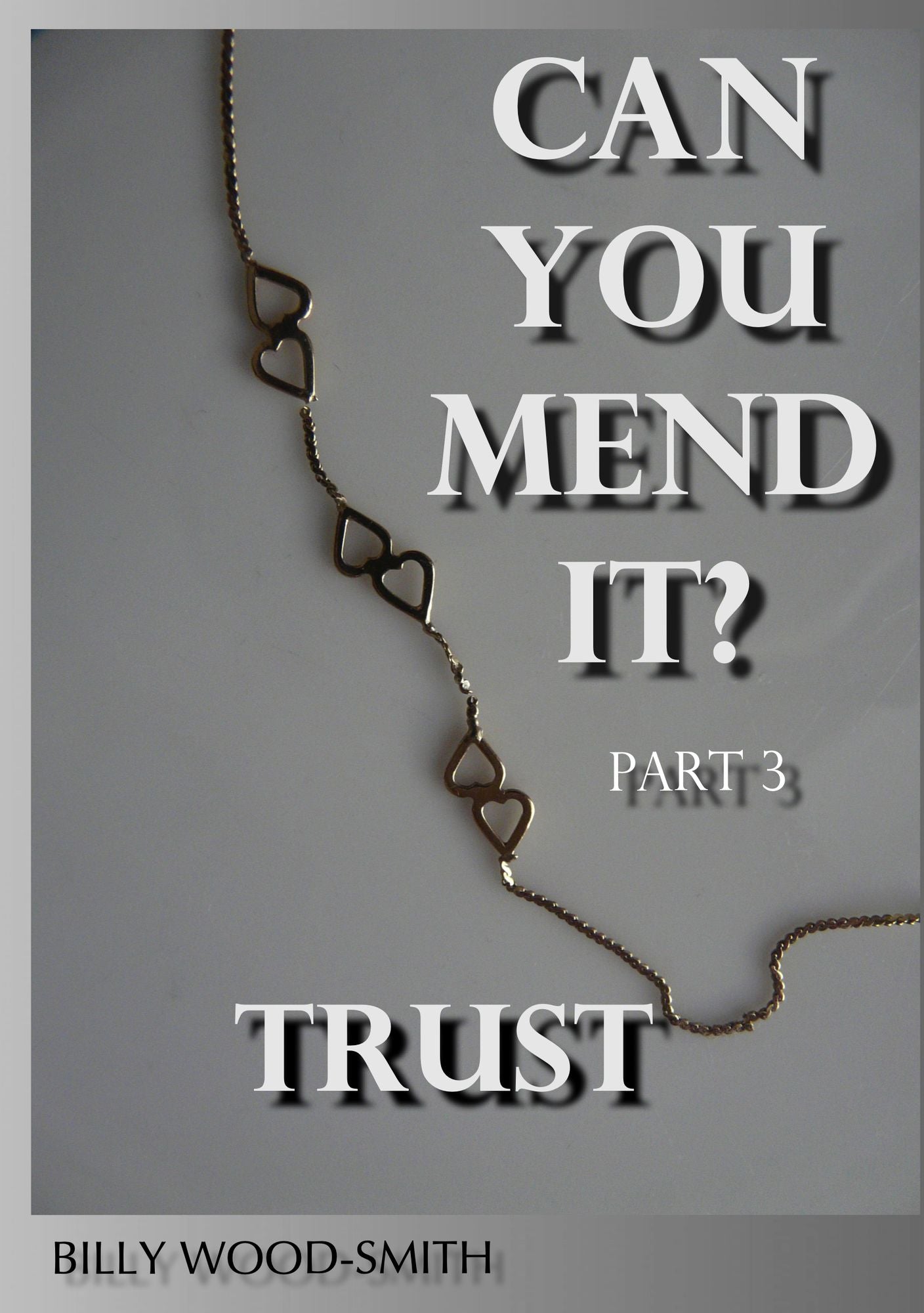 Can You Mend It?: Part 3: Trust
