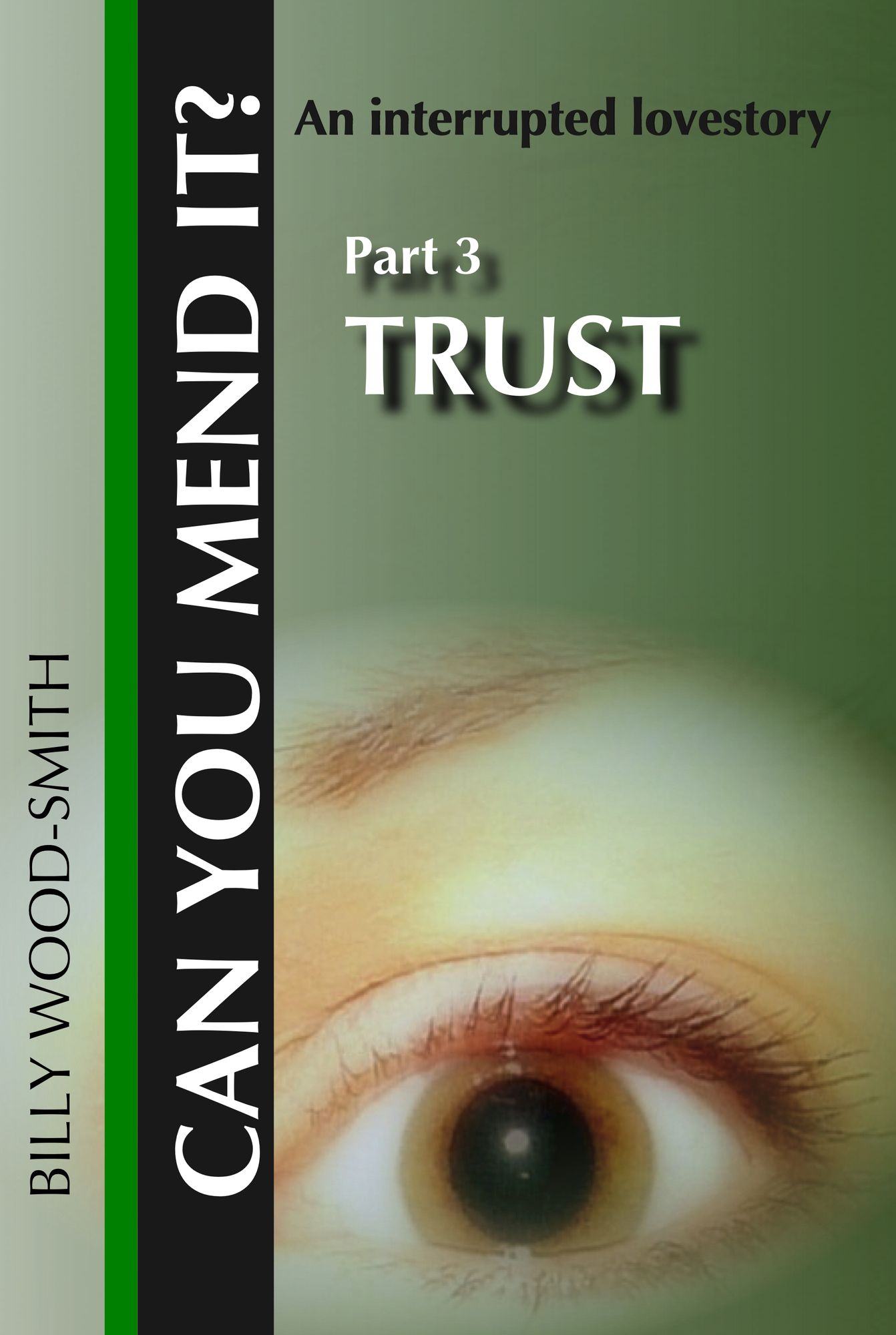 Can You Mend It?: Part 3: Trust