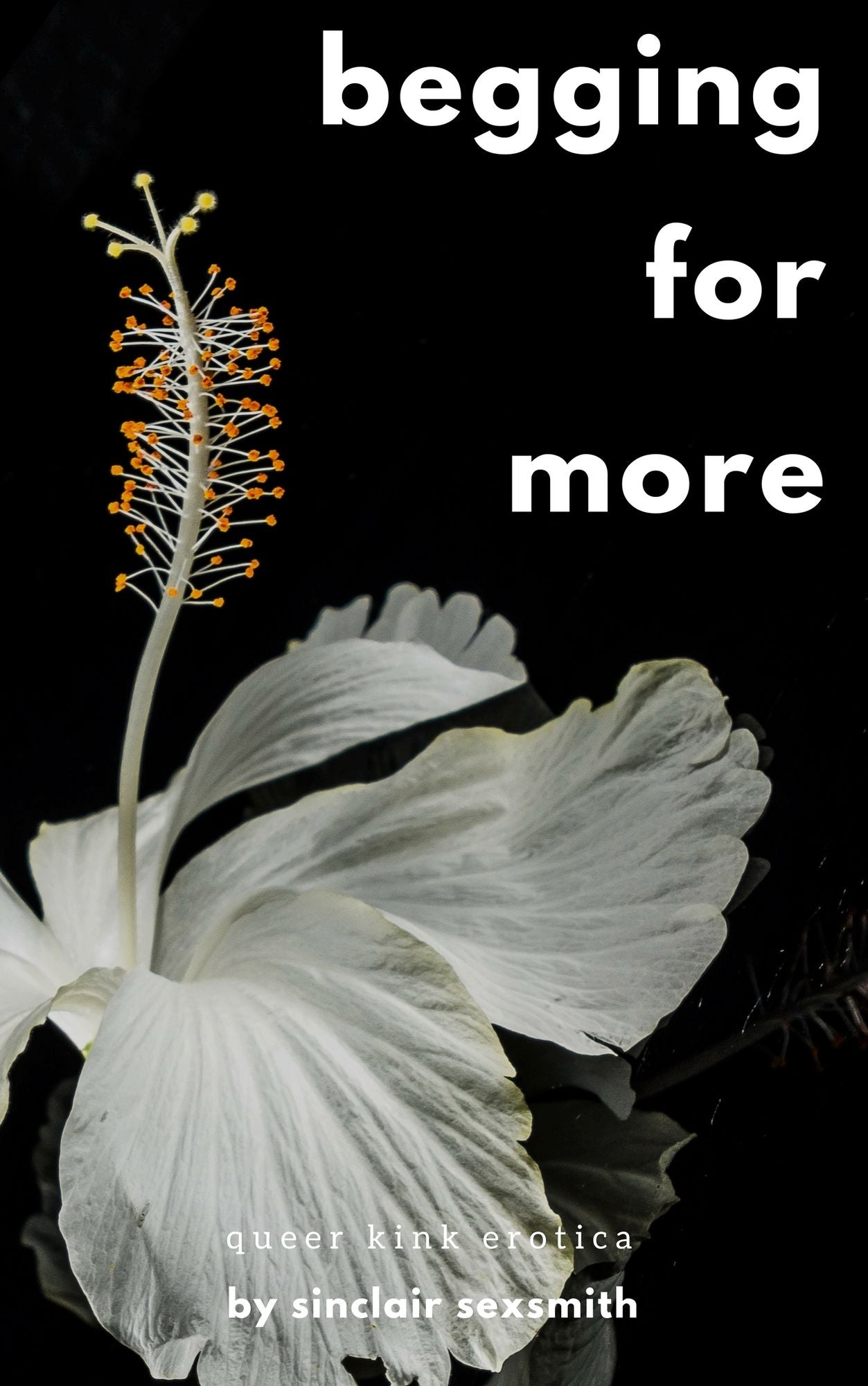 Begging For More: Queer Kink Erotica