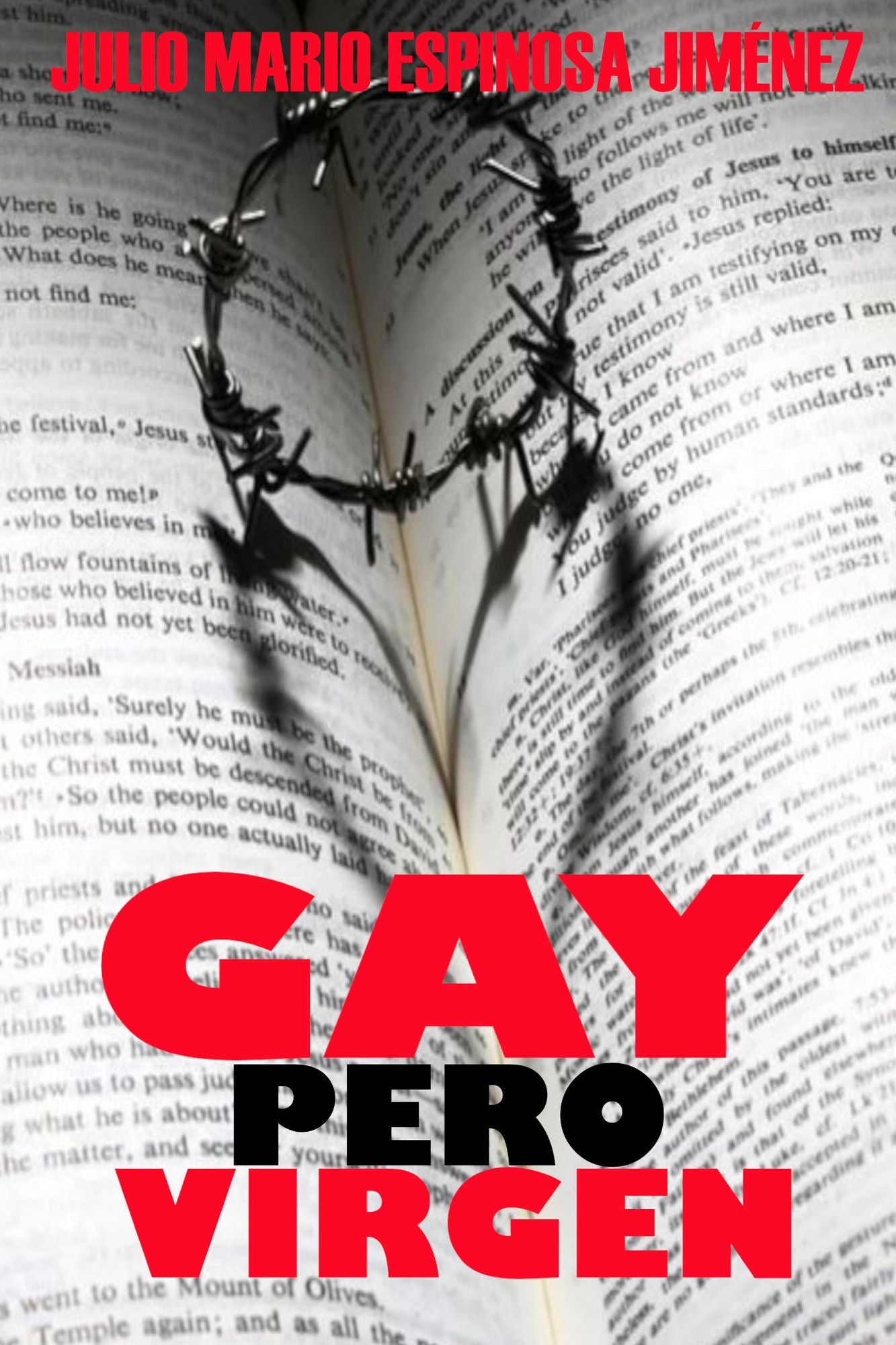 Gay pero virgen