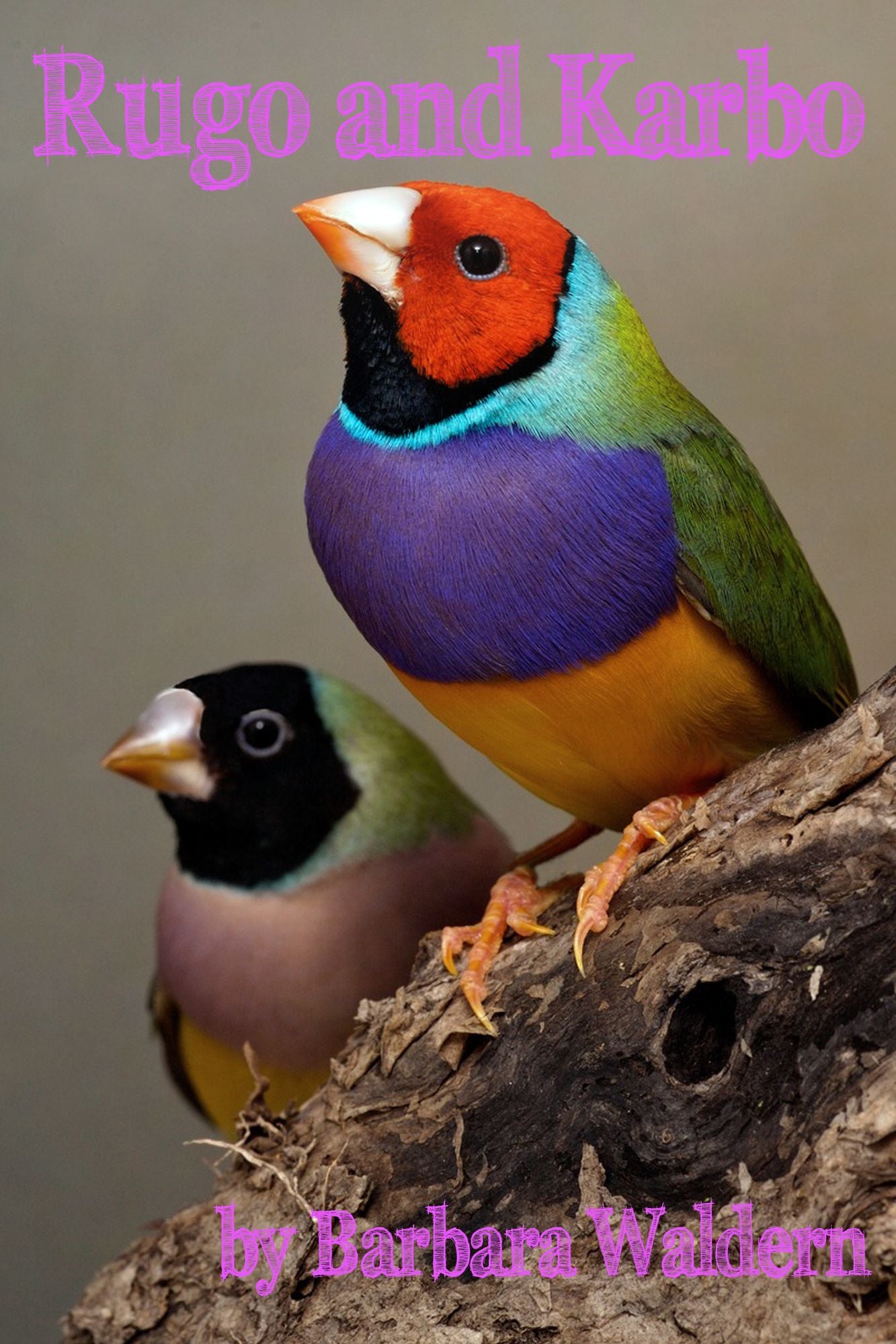 Rugo and Karbo