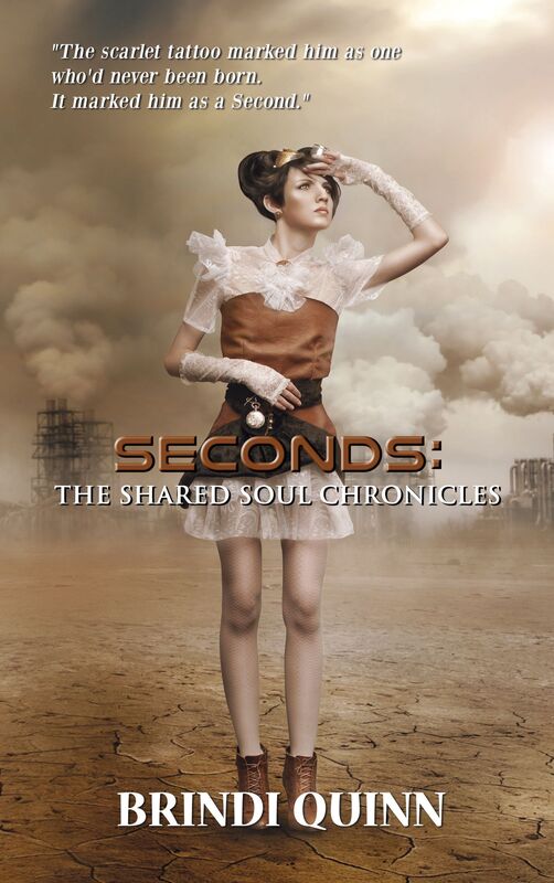 Seconds: The Shared Soul Chronicles