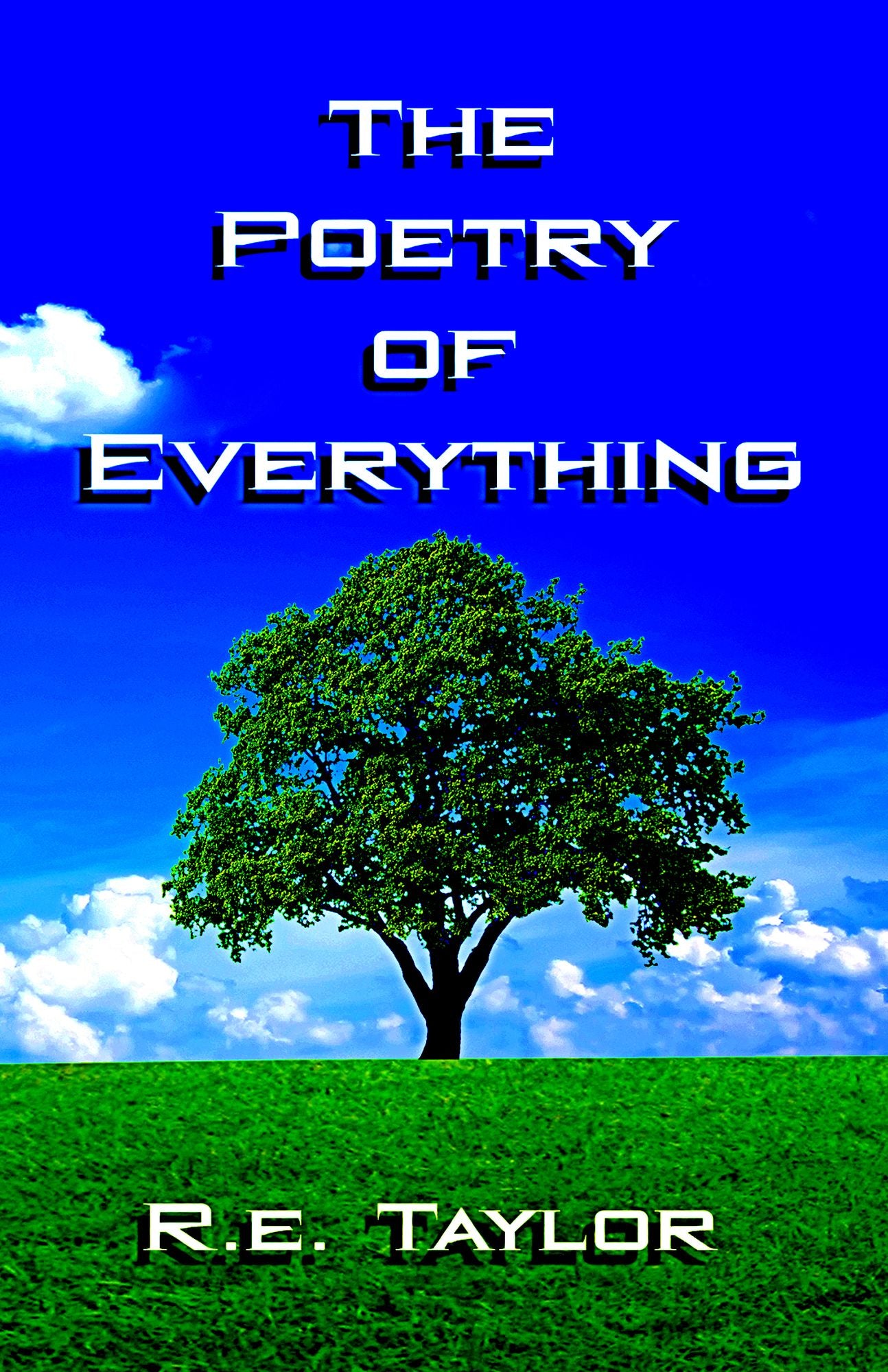The Poetry of Everything