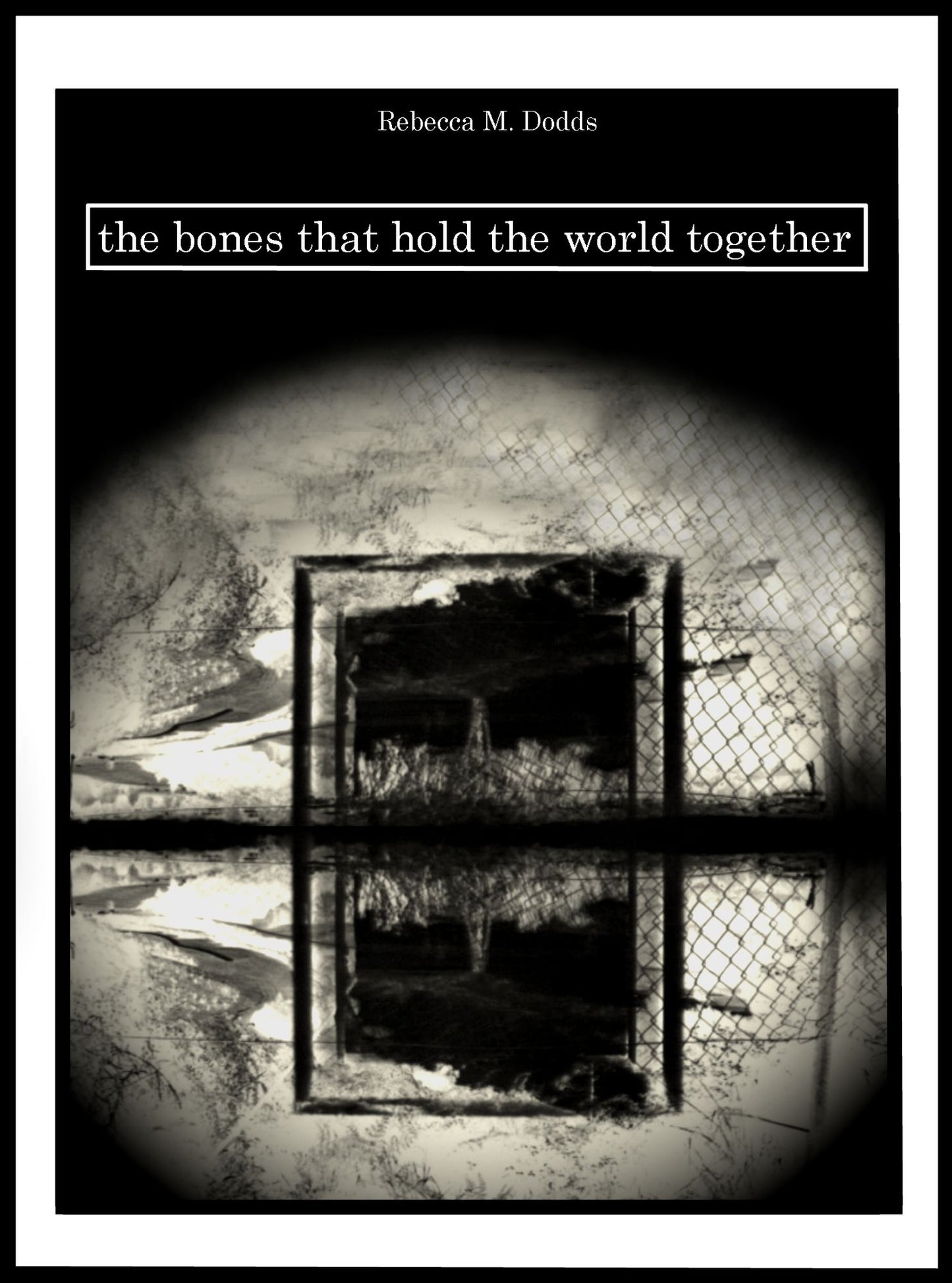 The Bones That Hold The World Together