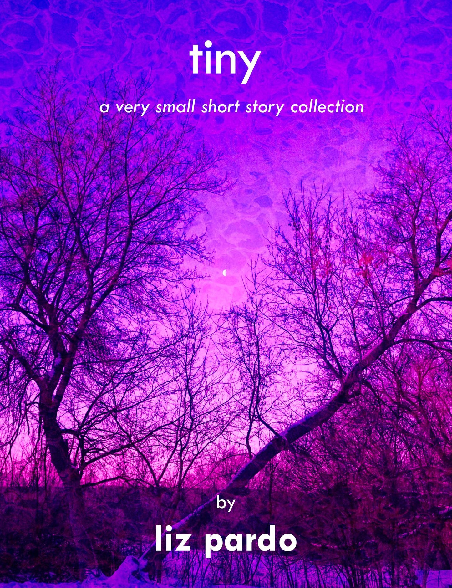 Tiny: A Very Small Short Story Collection