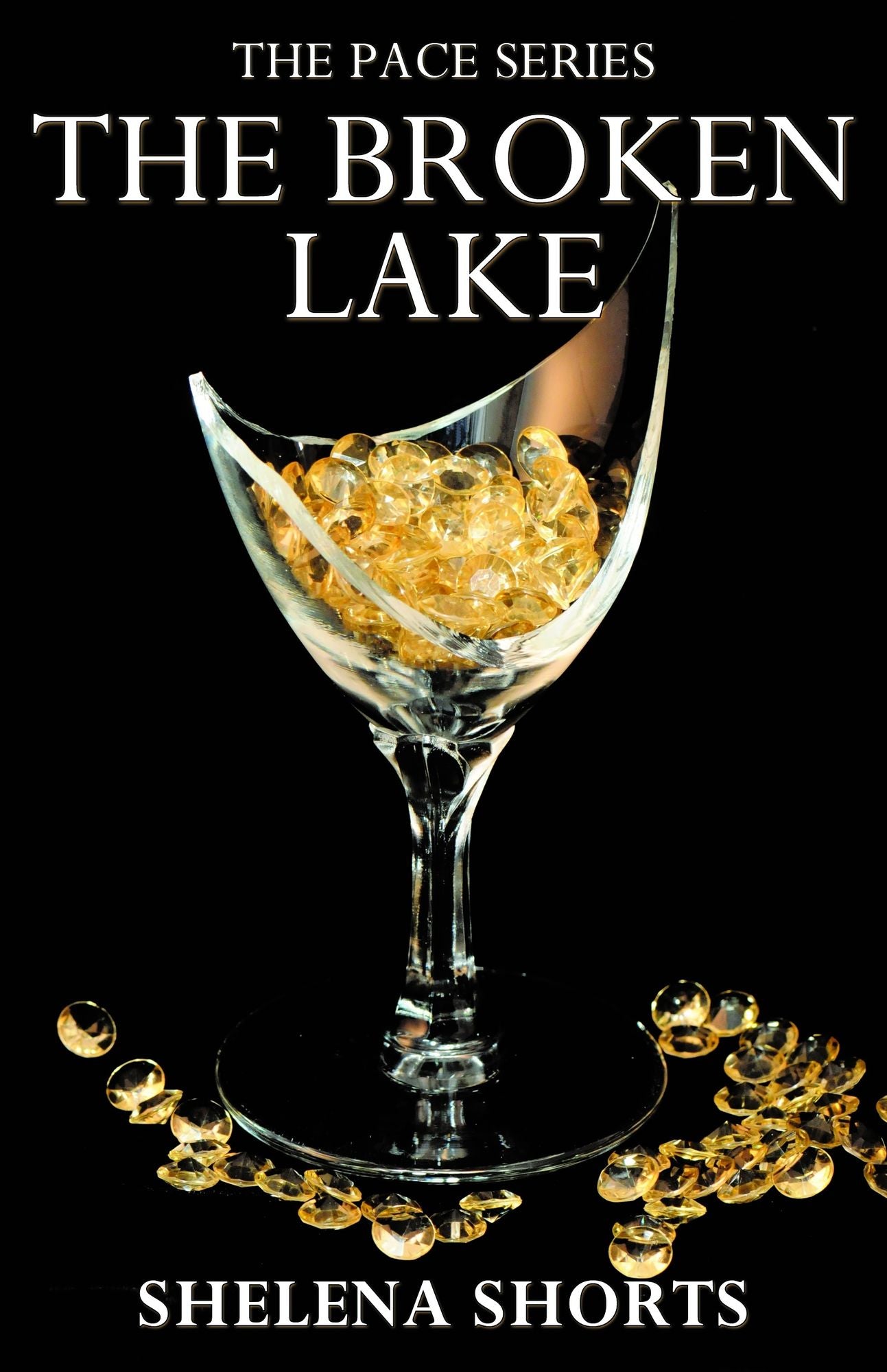 The Broken Lake( The Pace Series, Book 2)