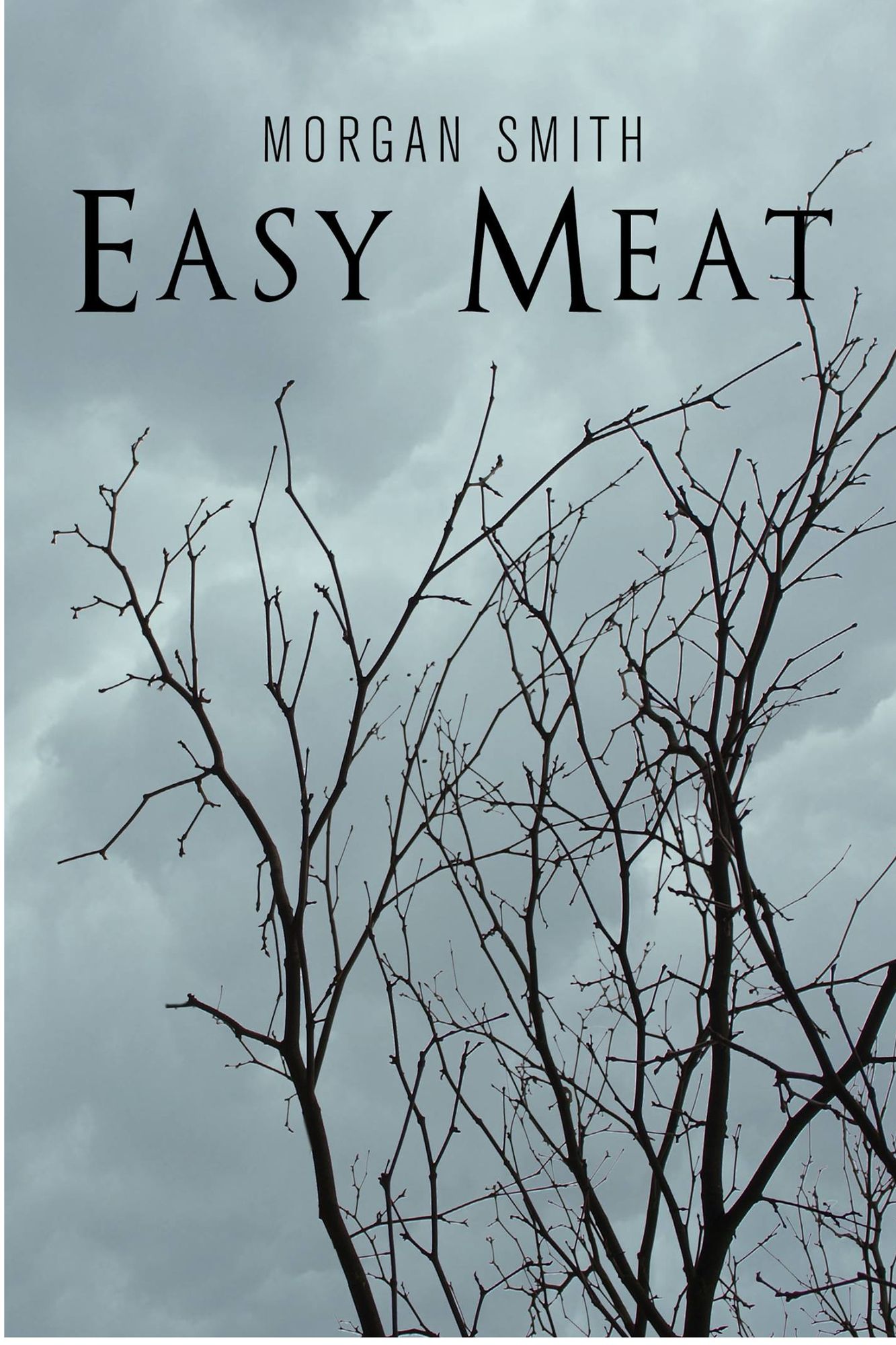Easy Meat