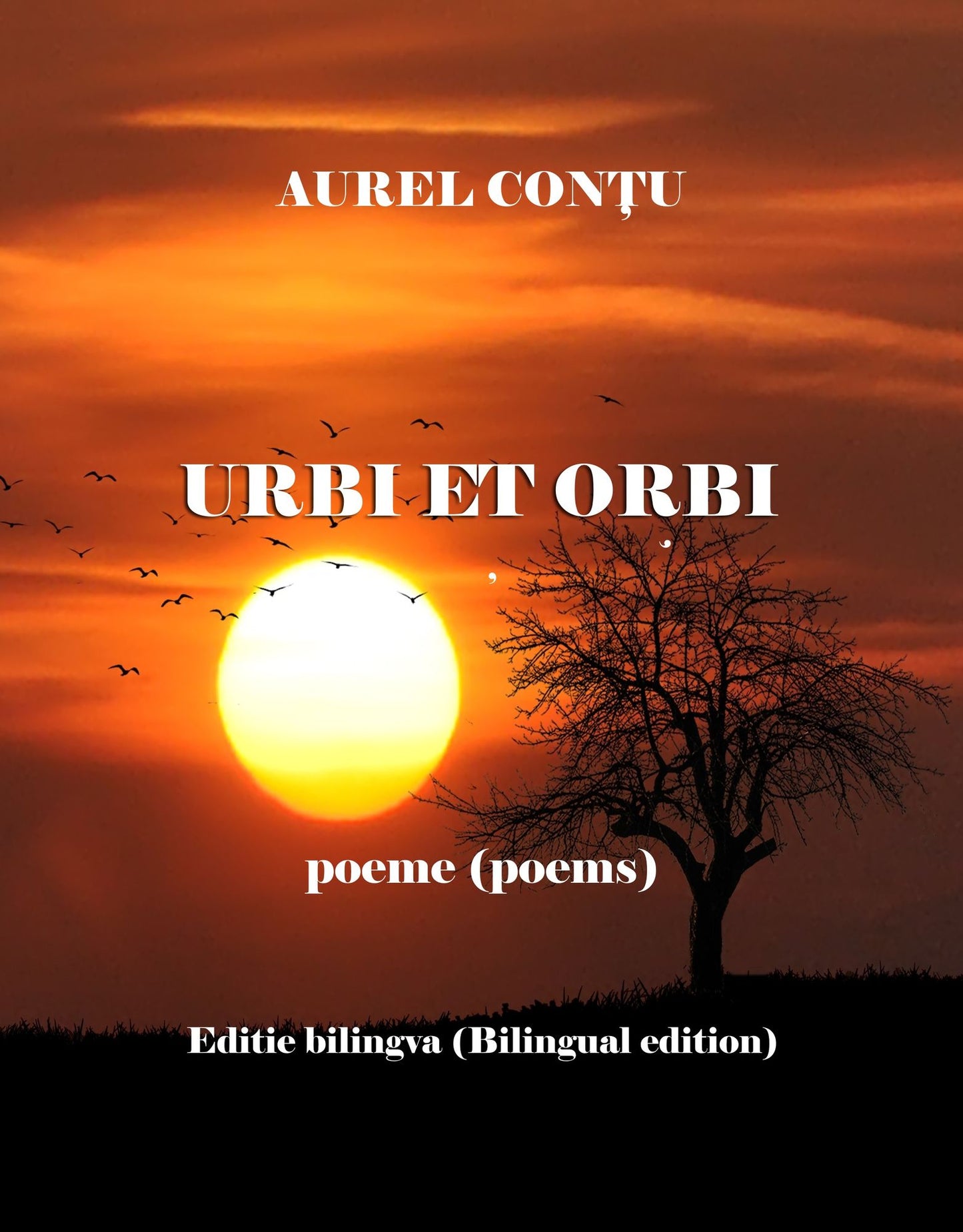 Urbi et orbi - Poeme (Poems) - Editie bilingva (Bilingual edition)