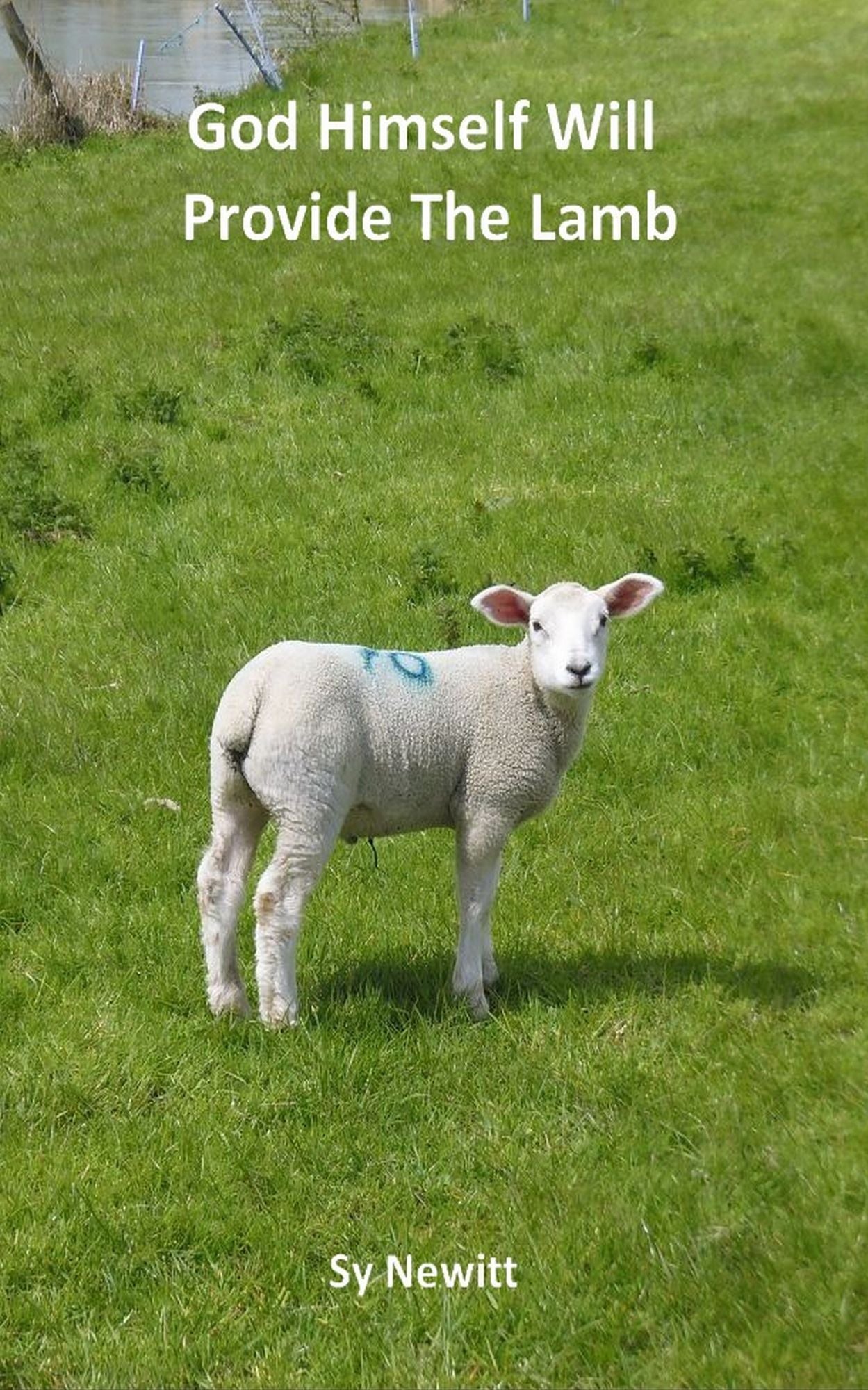 God Himself Will Provide The Lamb