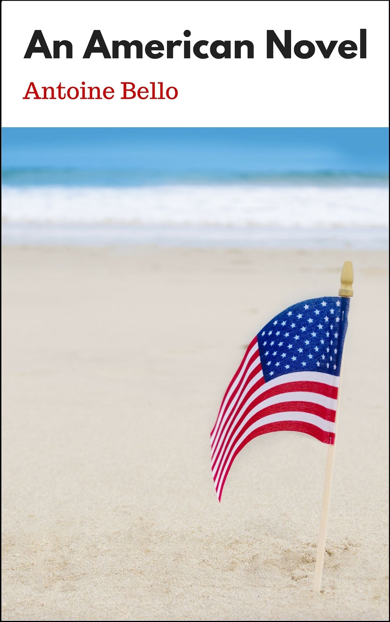 An American Novel
