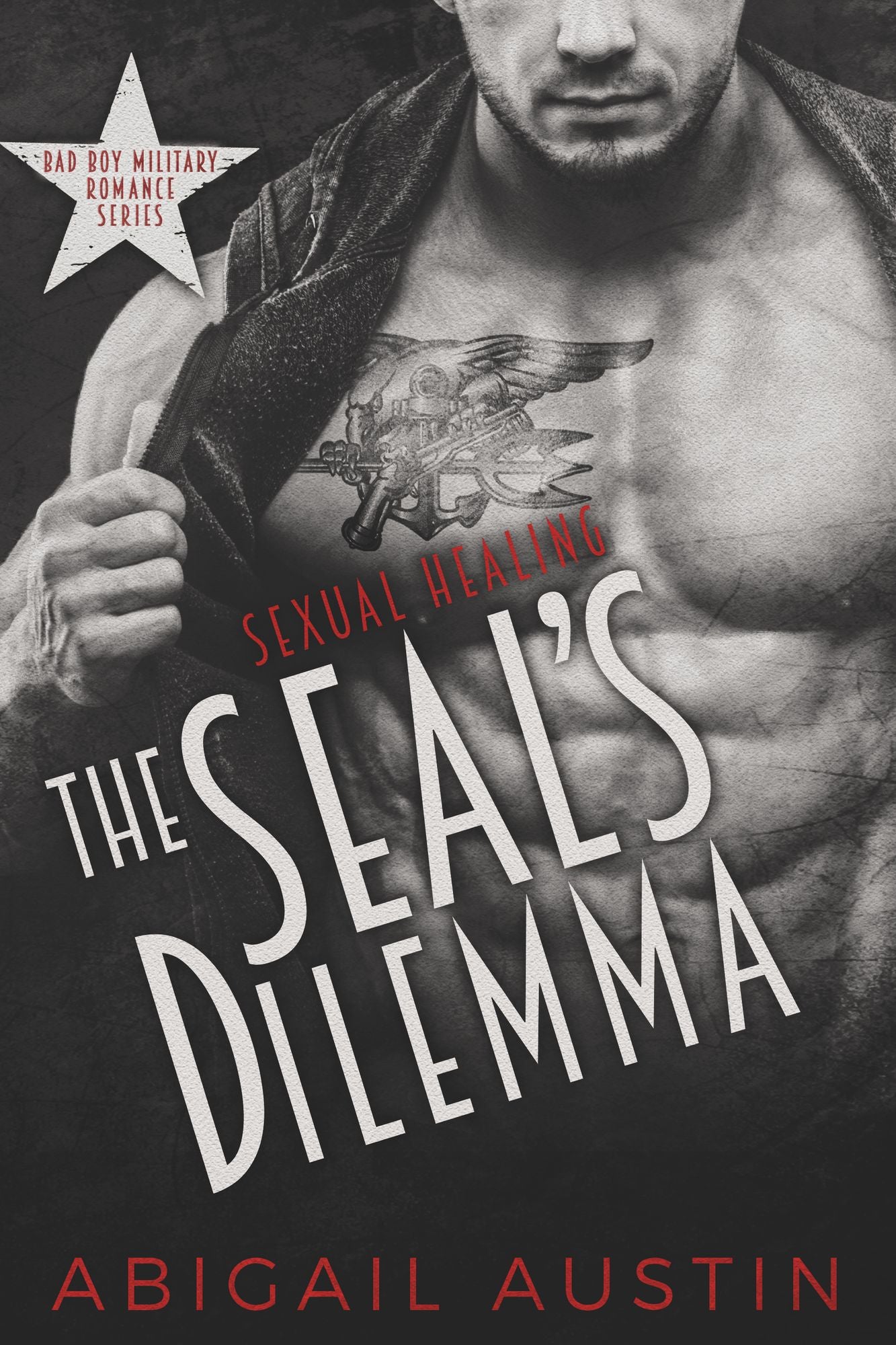 The SEAL's Dilemma:Sexual Healing Book 1