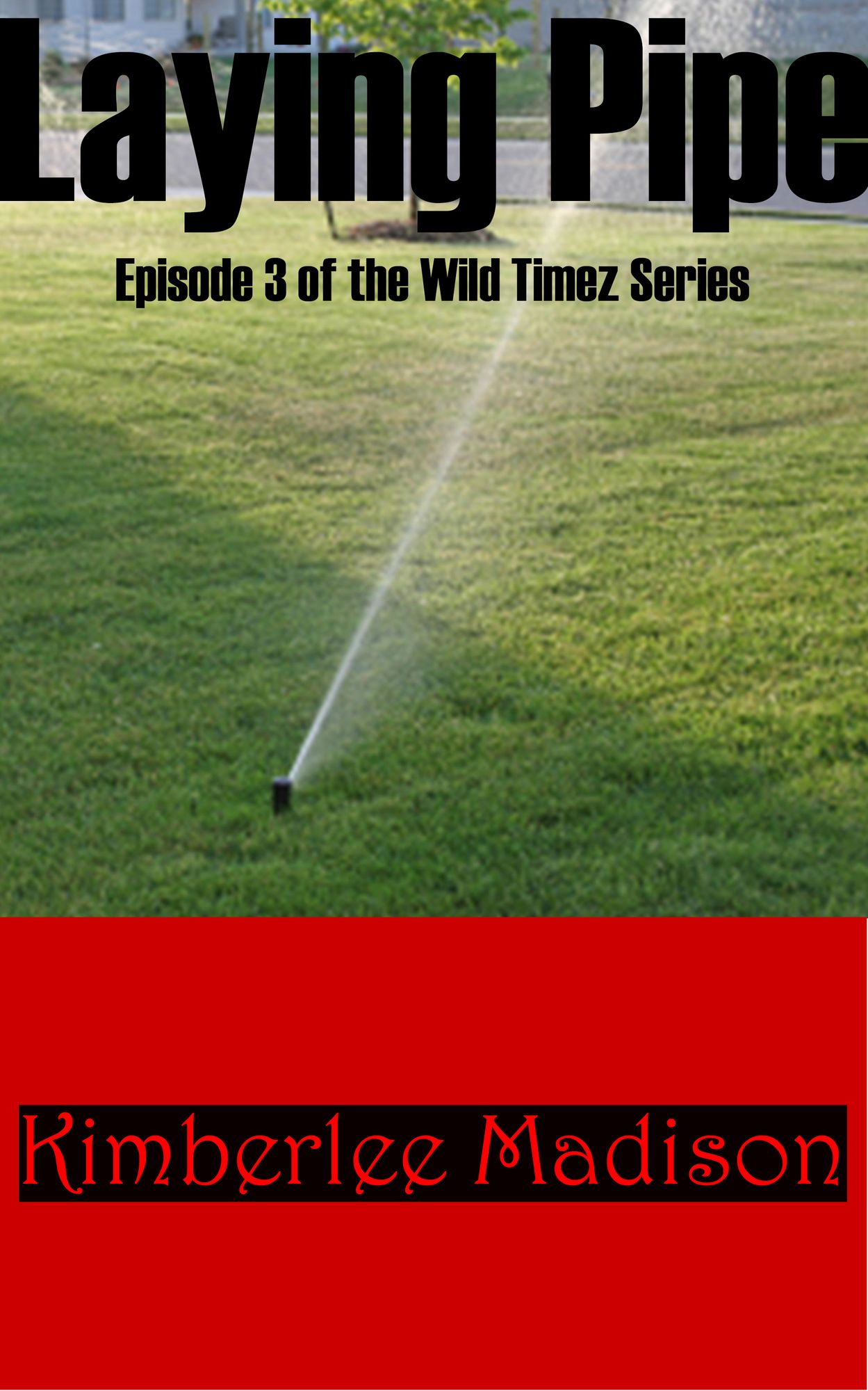 Laying Pipe: Episode 3 of the Wild Timez Series