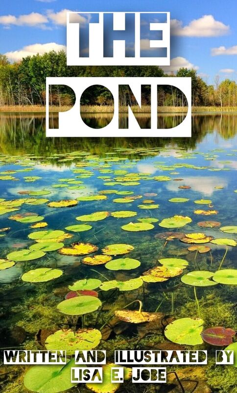 The Pond