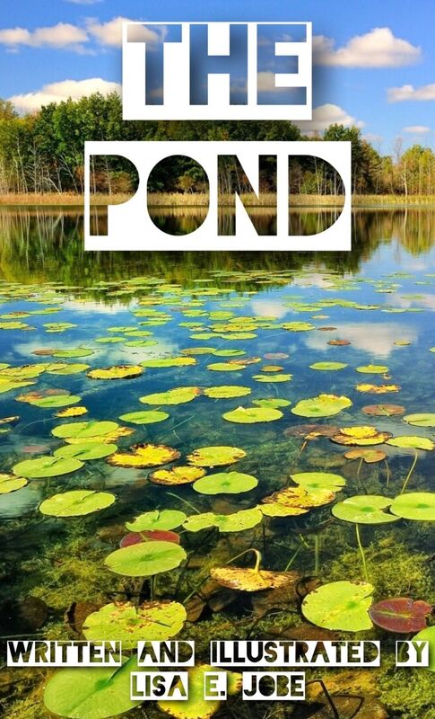 The Pond