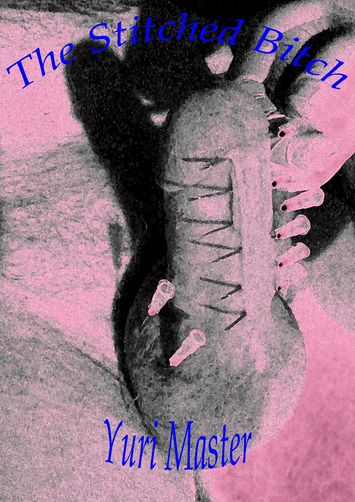 The Stitched Bitch